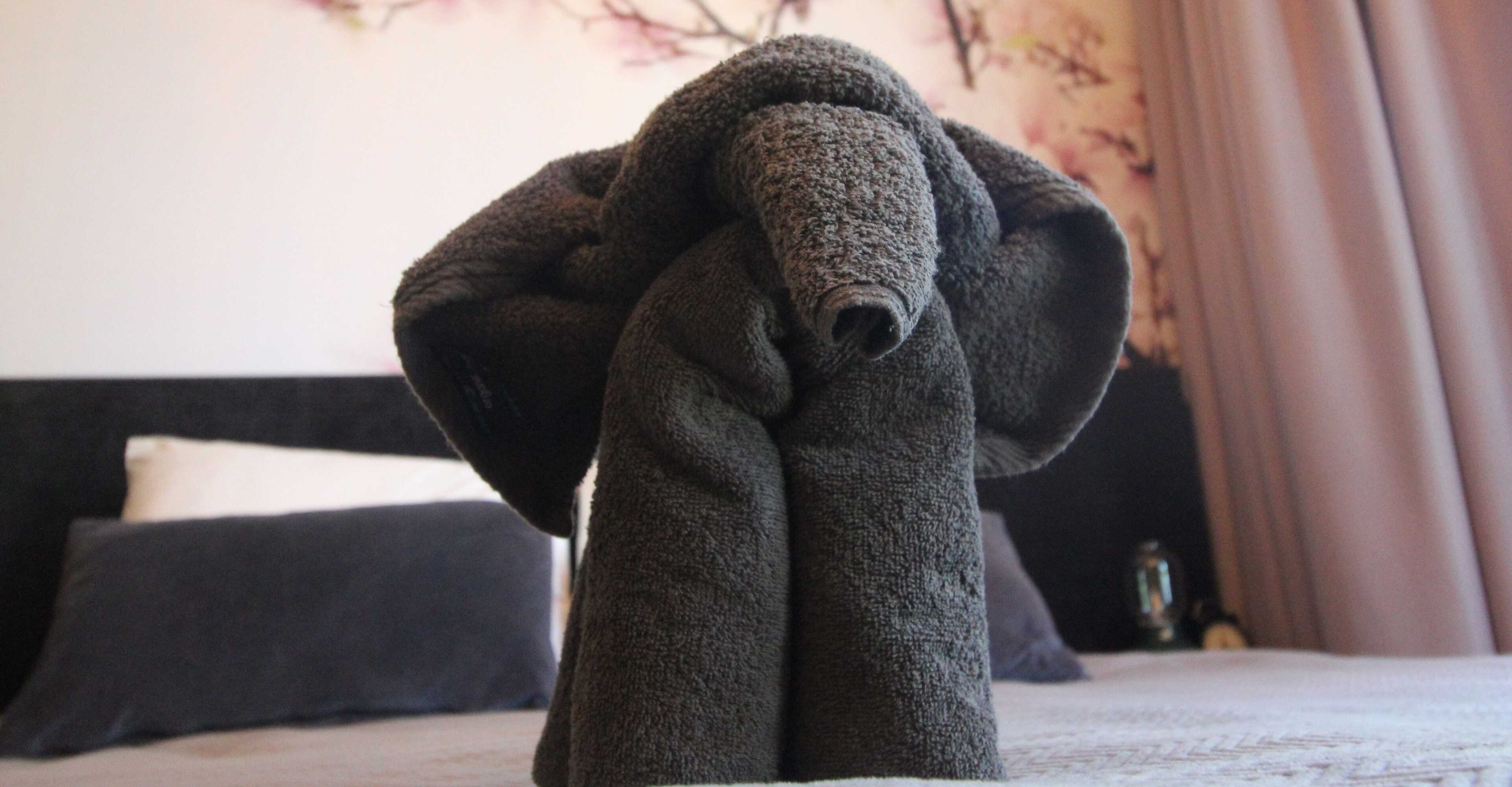 Gift card for Polderhuis Bed & Breakfast