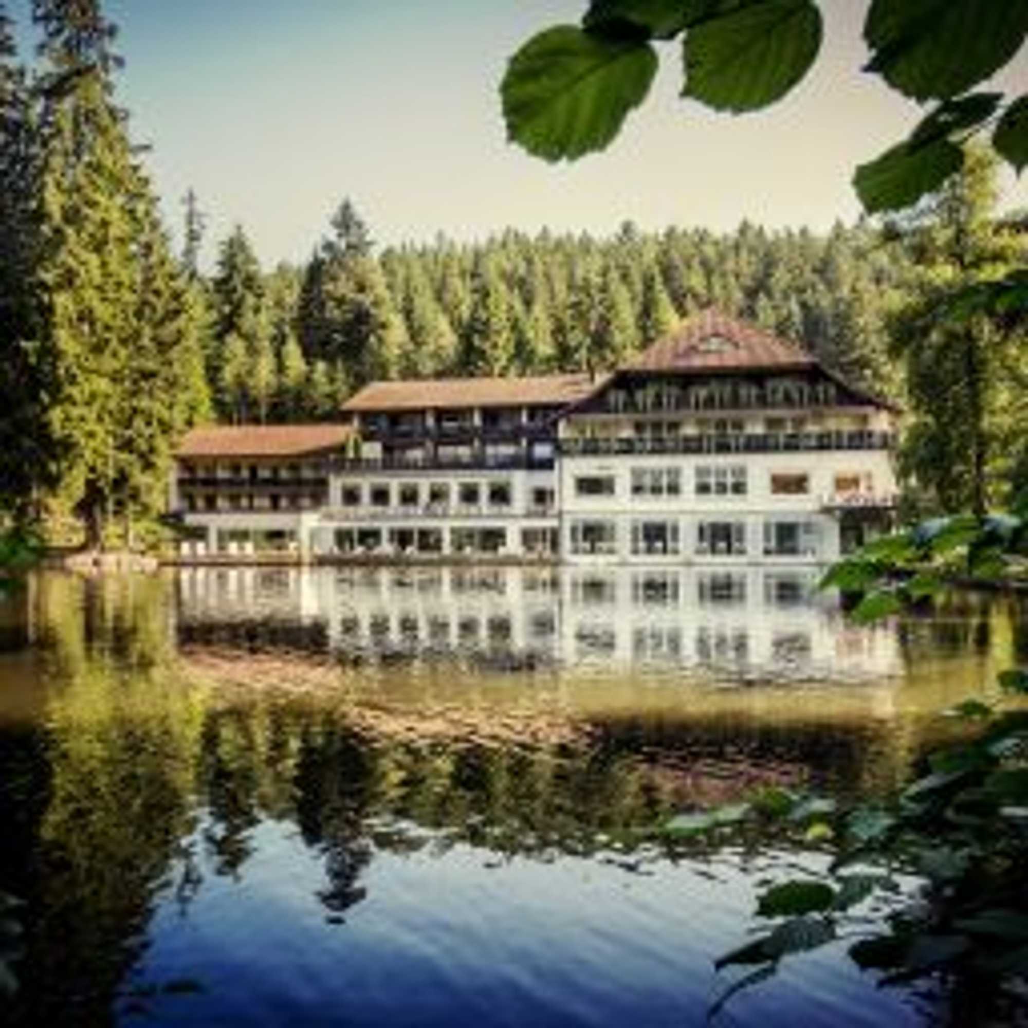 Gift card for Hotel Langenwaldsee Gift card for Hotel Langenwaldsee