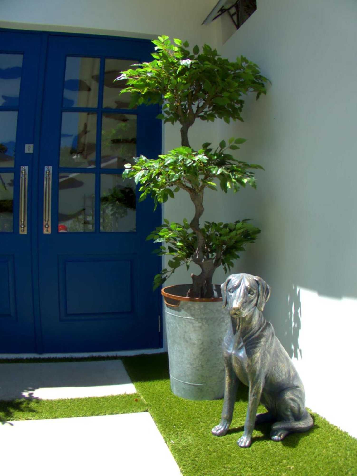 Gift card for Long Story Guest House And Cooks Kitchen