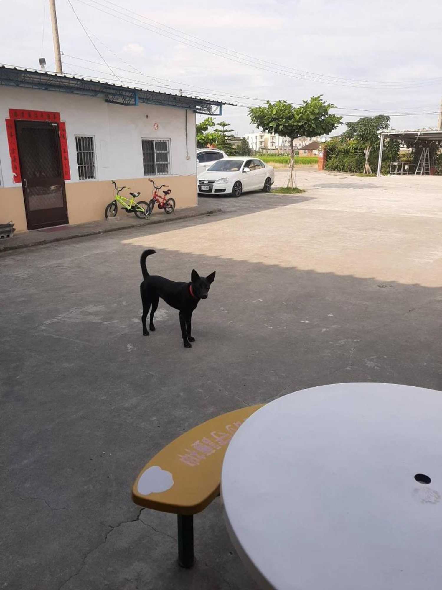 Gift card for Chiayi Bo An Ju Homestay