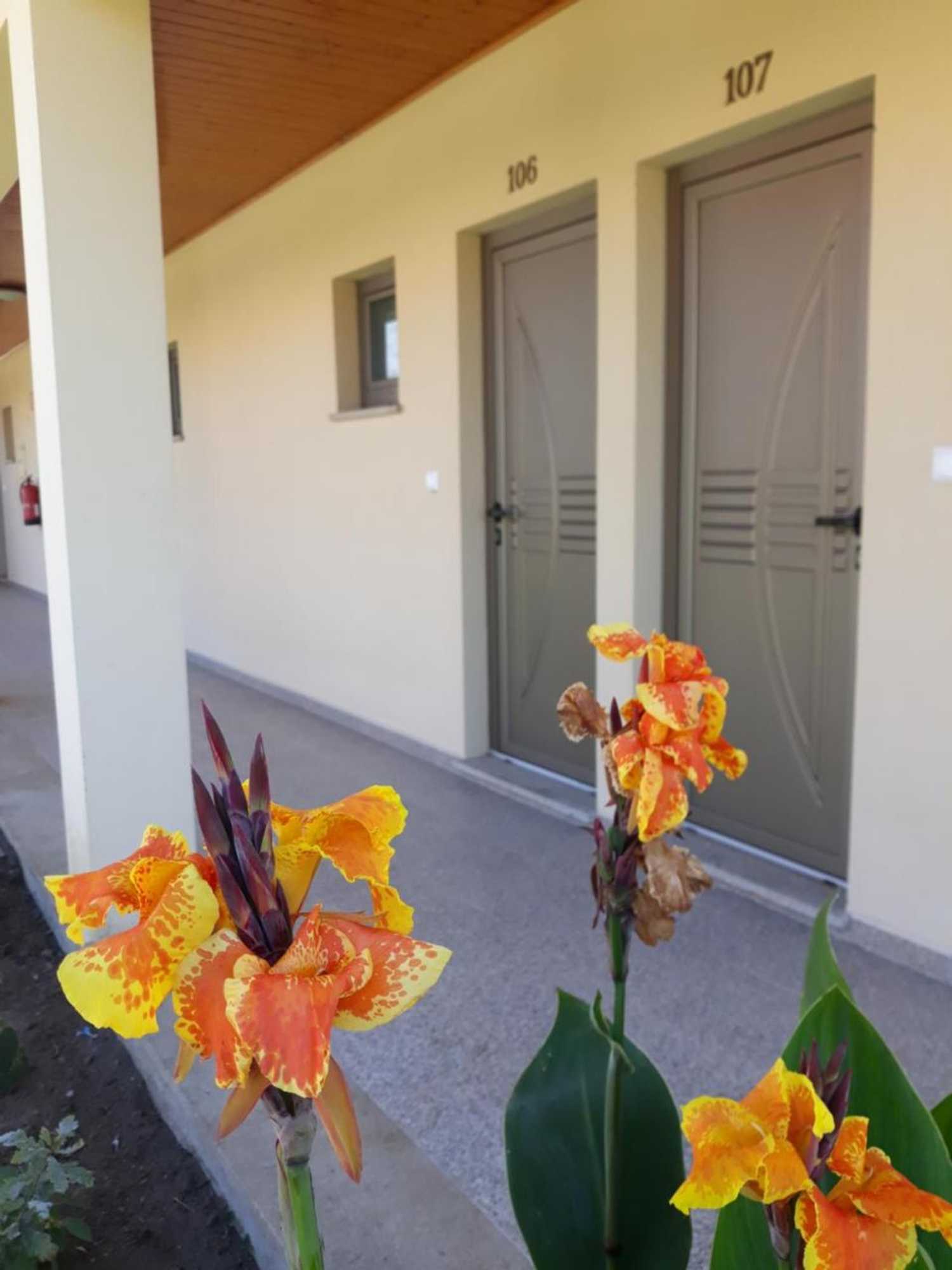 Gift card for Pensão Repouso do Peregrino Gift card for Pensão Repouso do Peregrino