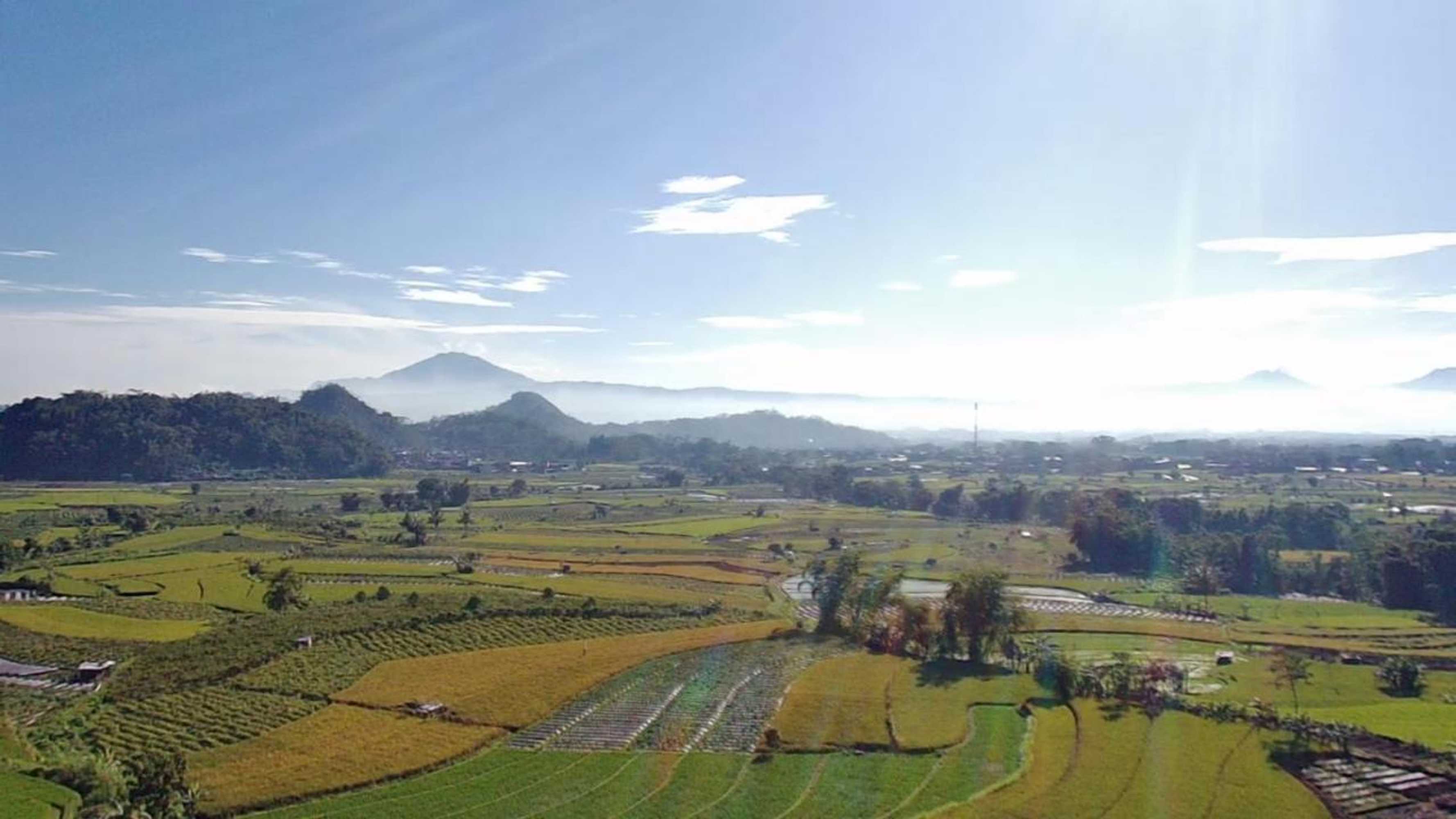 Gift card for Tridwi Homestay