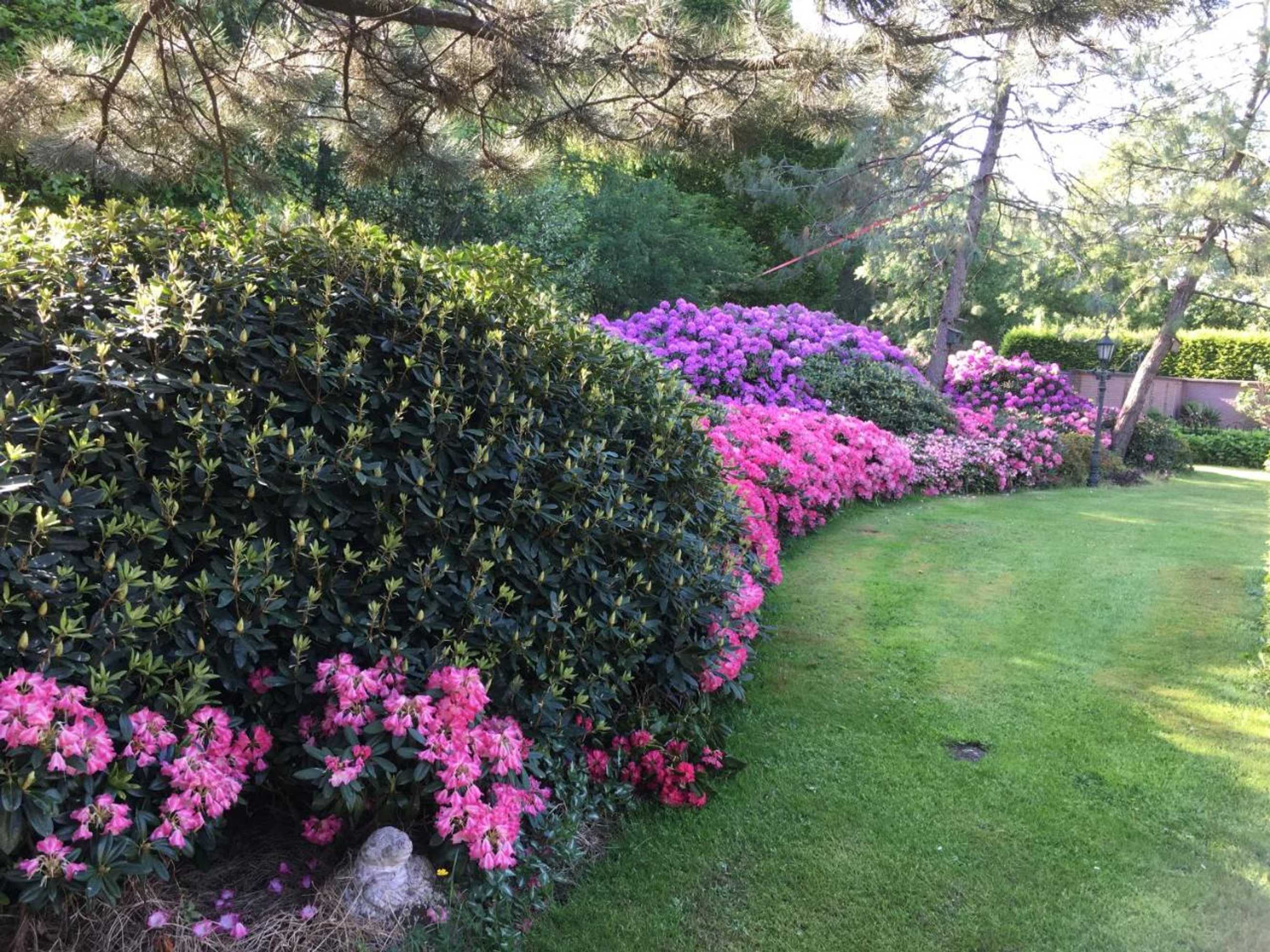 Gift card for Veld en Bosch