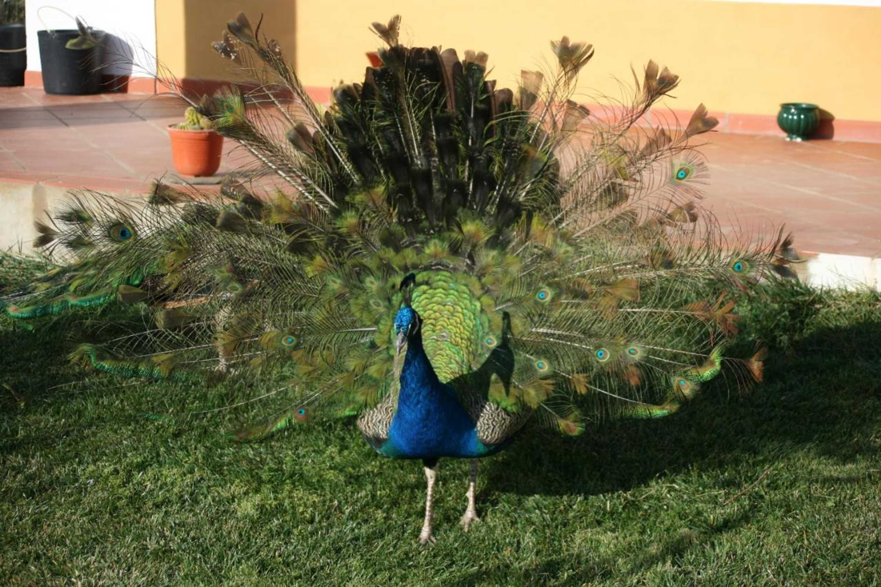 Gift card for Naveterra-Hotel Rural