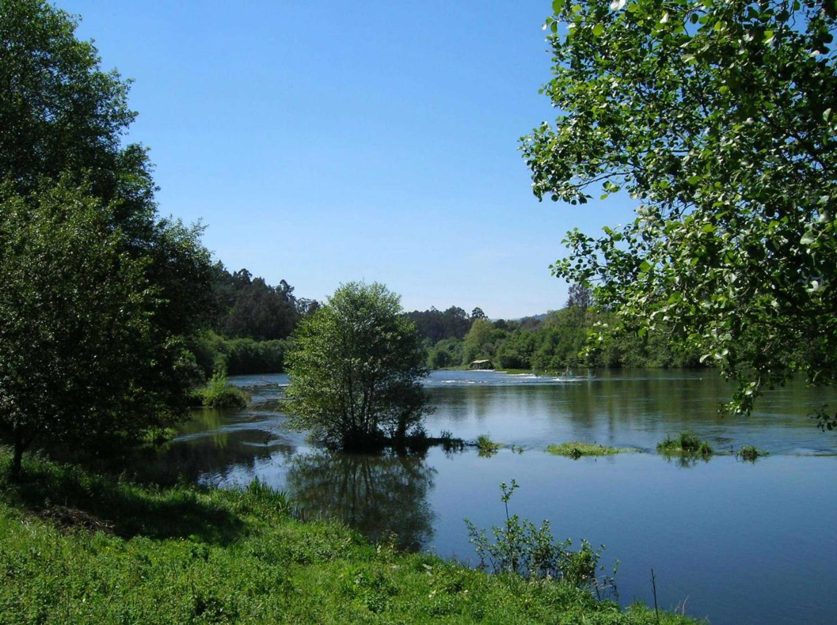 Gift card for Quinta de Luou