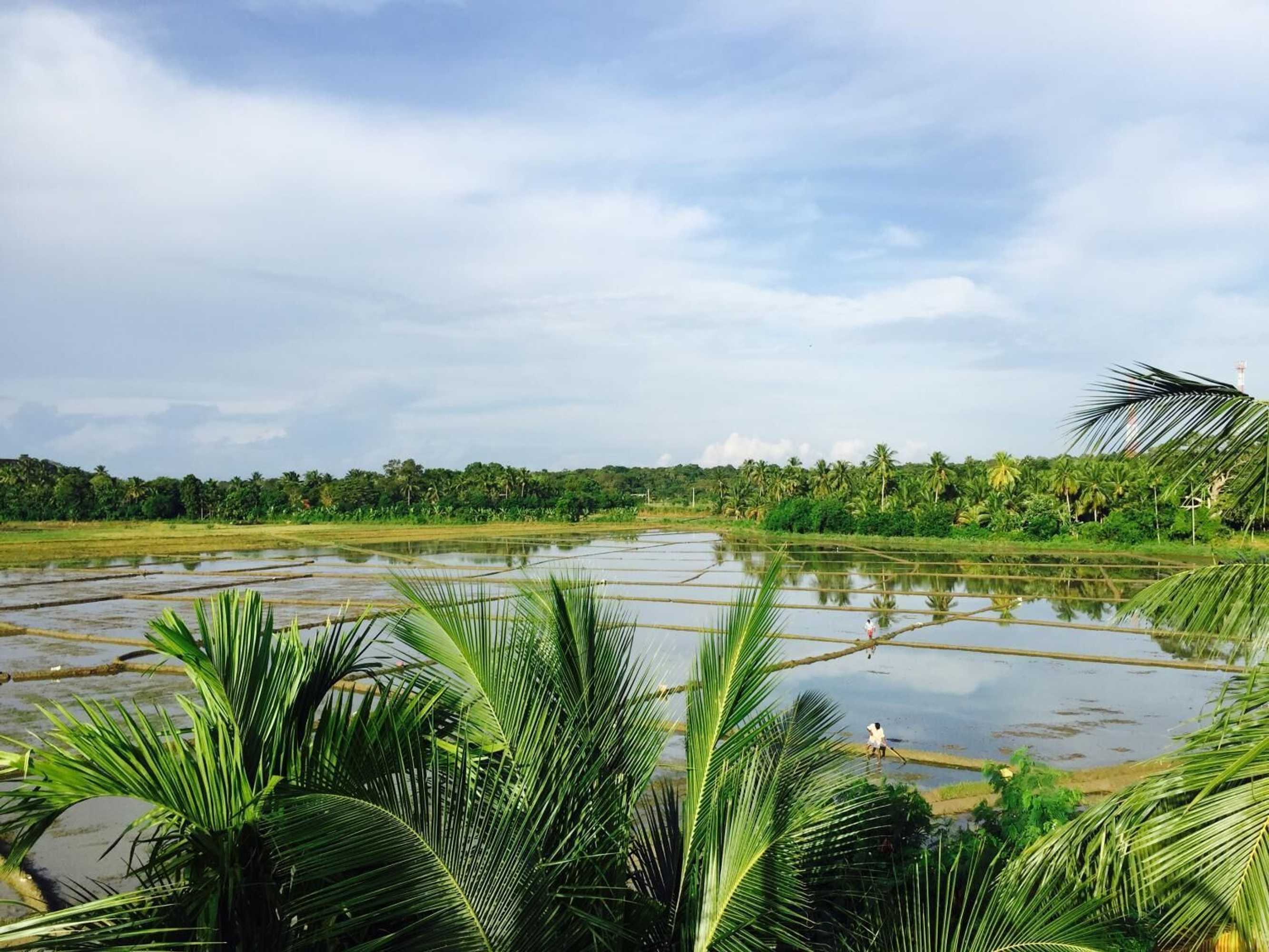 Gift card for Rice Field View Home Stay Gift card for Rice Field View Home Stay
