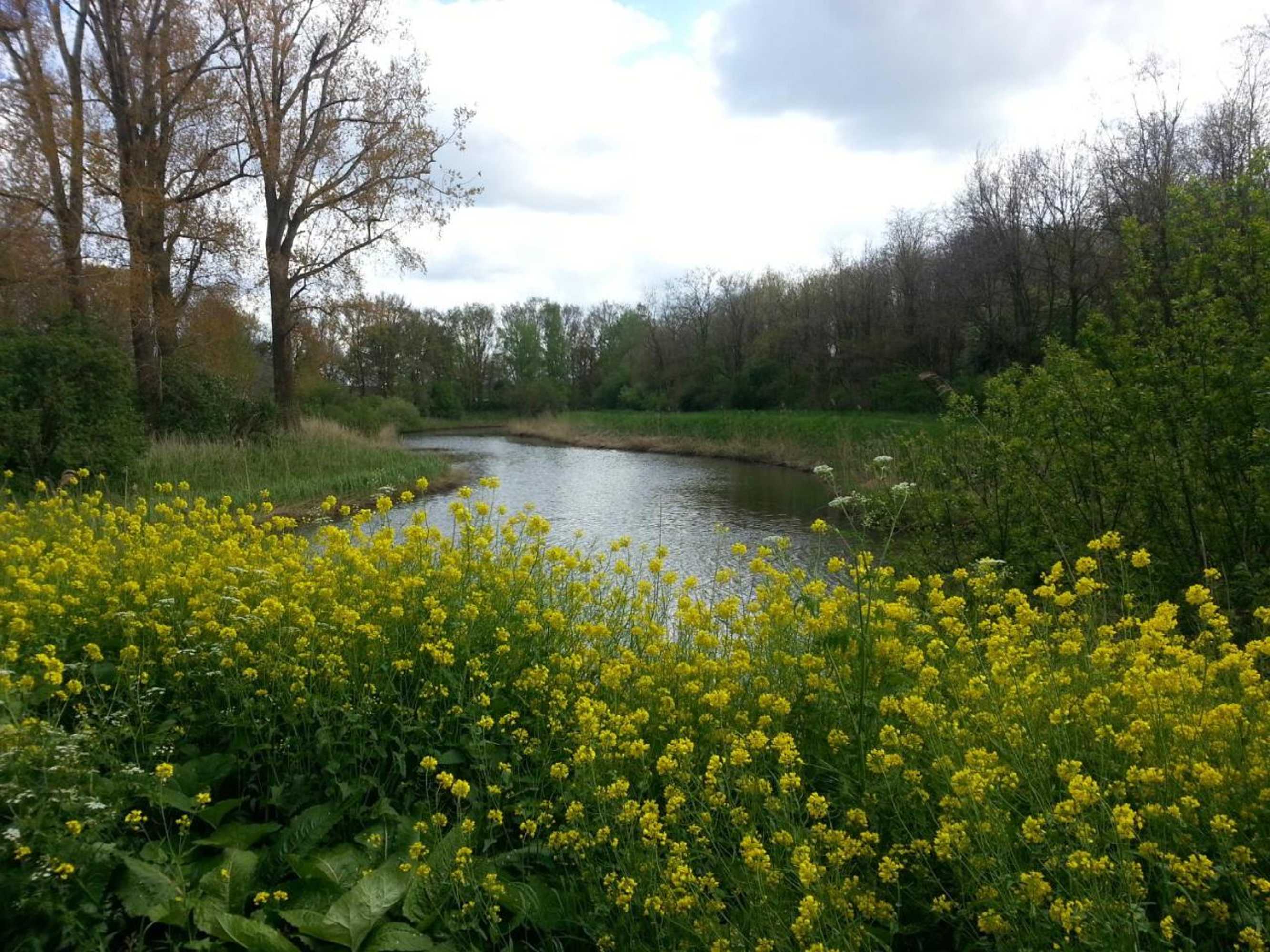 Gift card for B & B De Pimpelmees