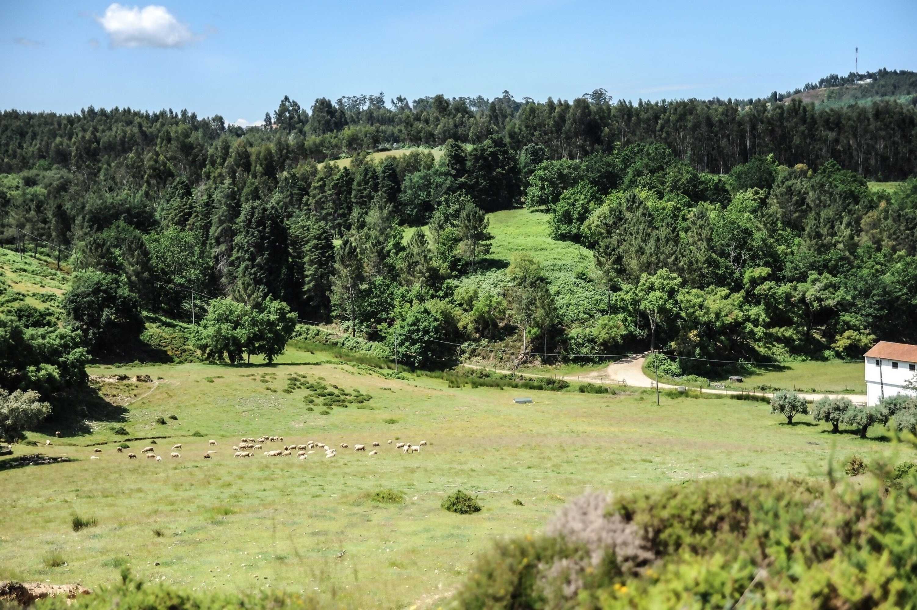 Gift card for Vumba - House of The Lizard