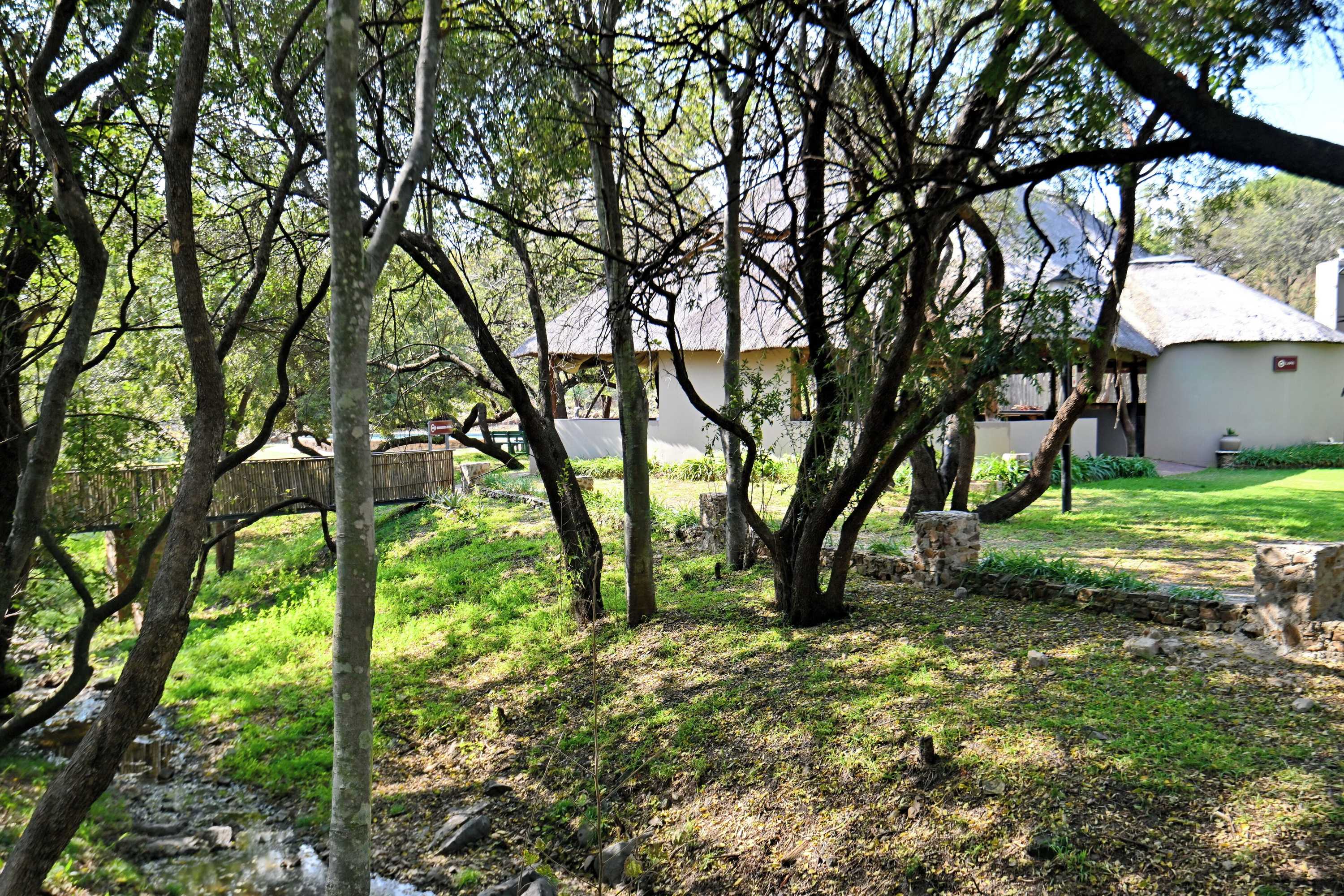 Gift card for Warthogs Bush Lodge Gift card for Warthogs Bush Lodge