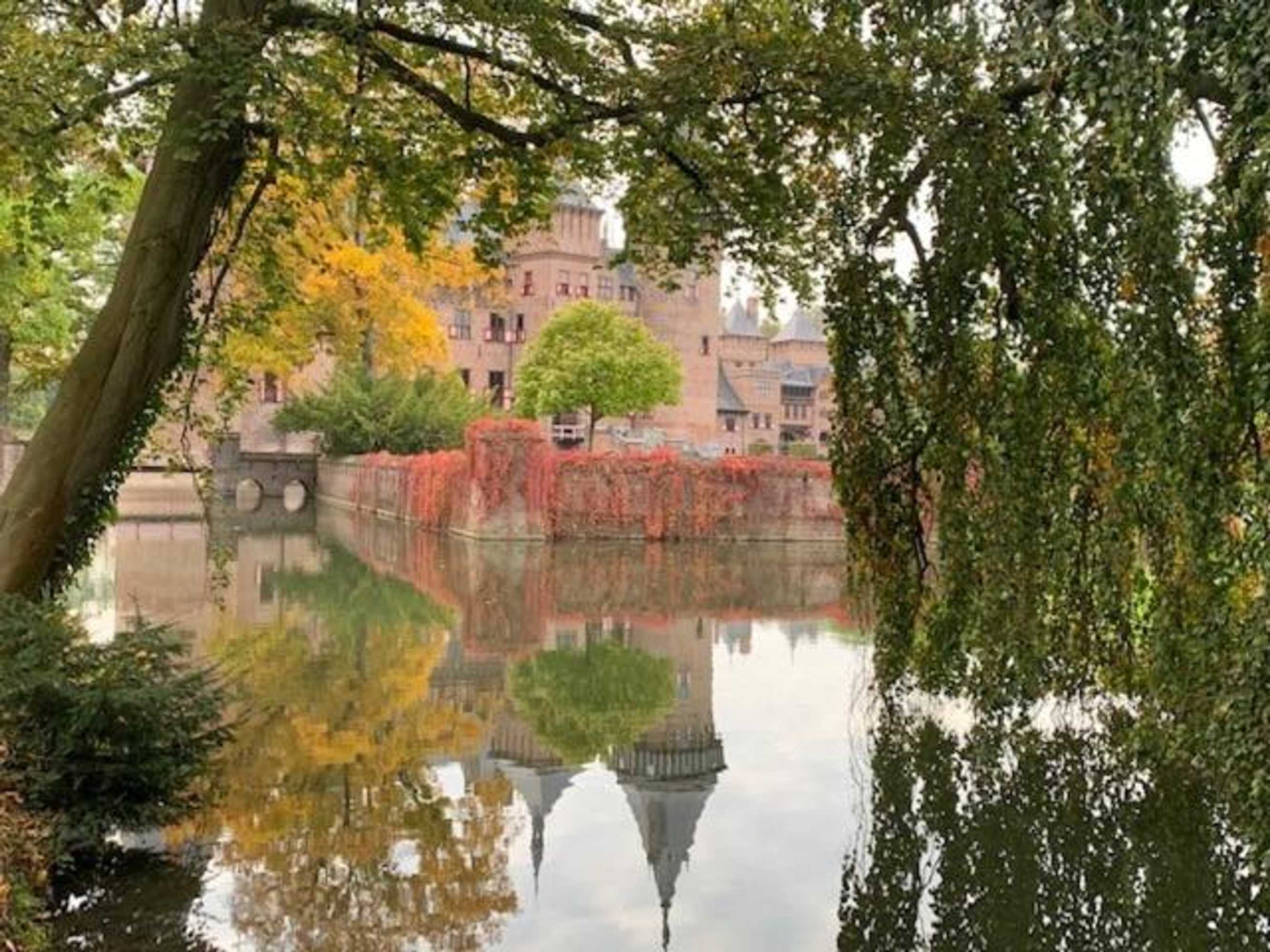 Gift card for @thelodge