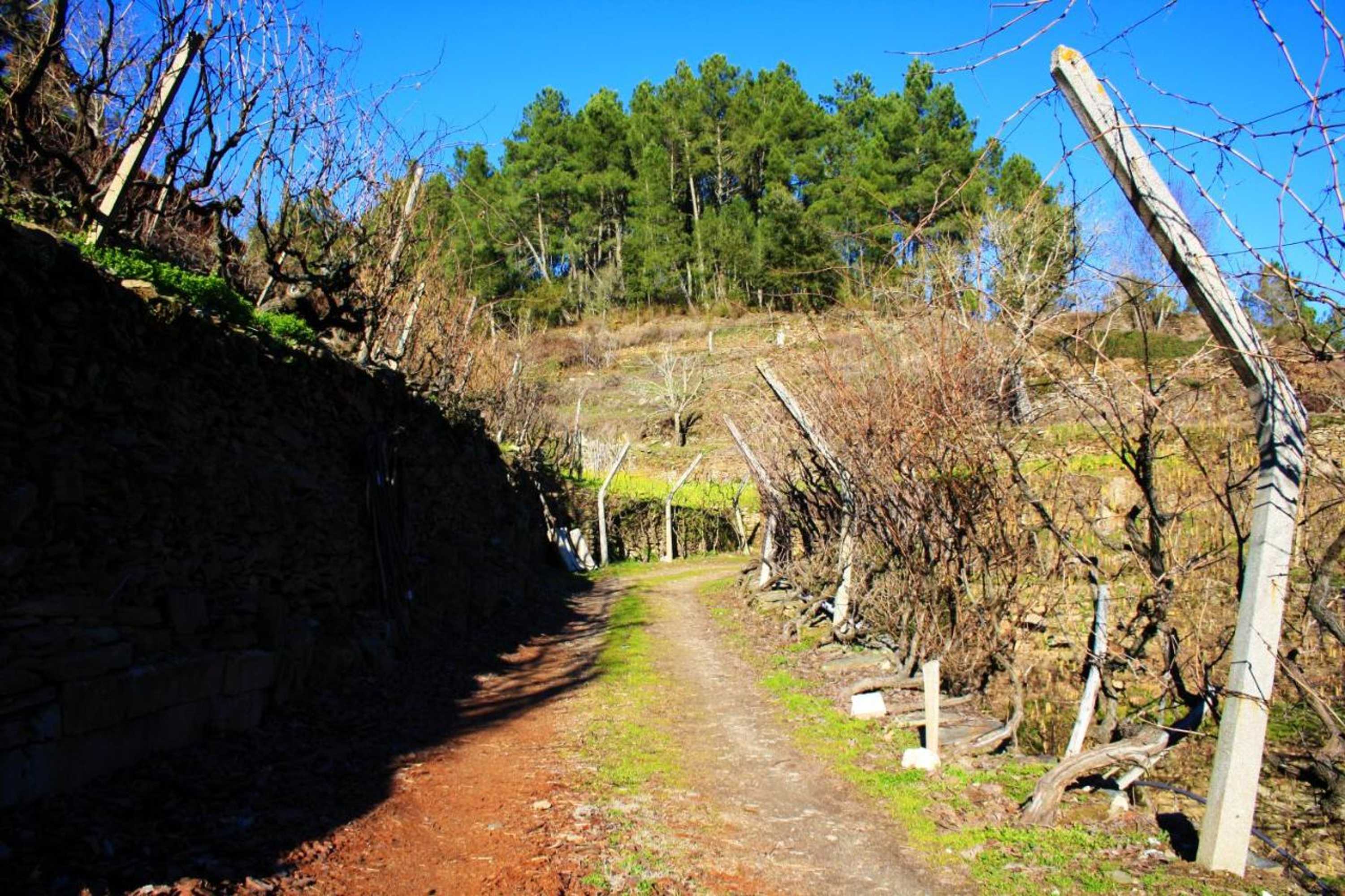 Gift card for Casa da Passagem Gift card for Casa da Passagem