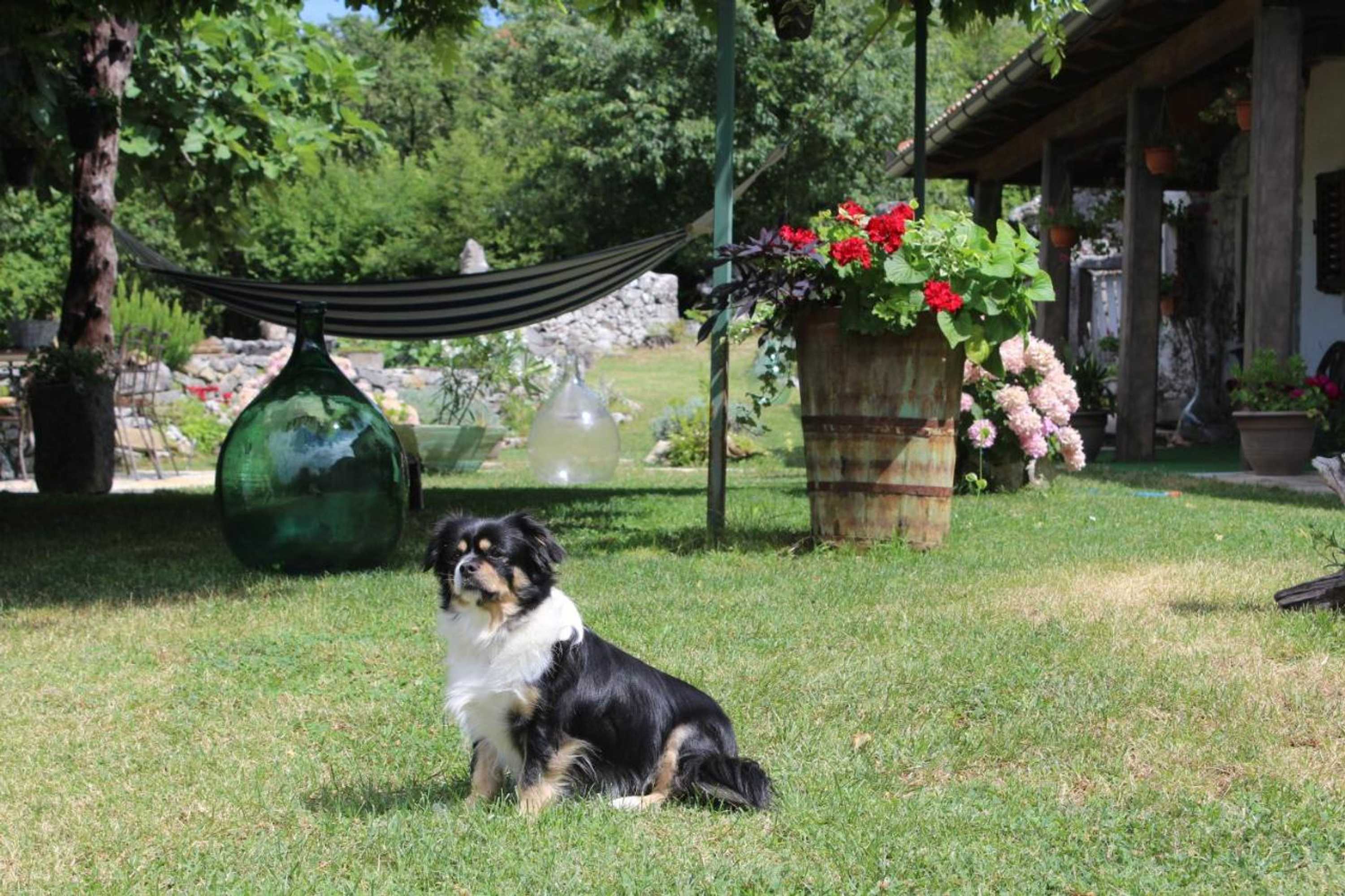 Gift card for Holiday Home Mavrici - Two Bedroom Holiday Home With Pool