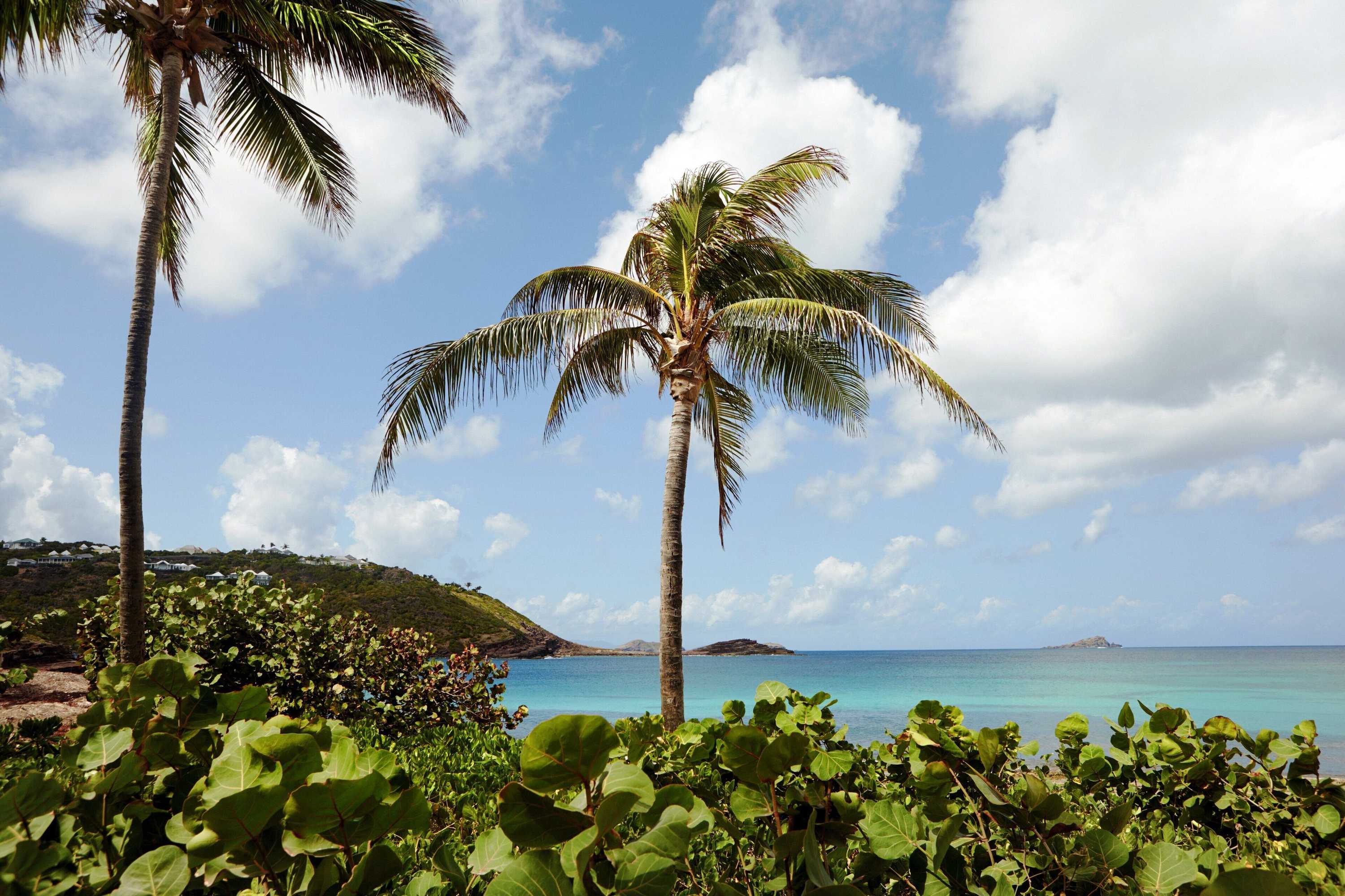 Gift card for Rosewood Le Guanahani St Barth Gift card for Rosewood Le Guanahani St Barth
