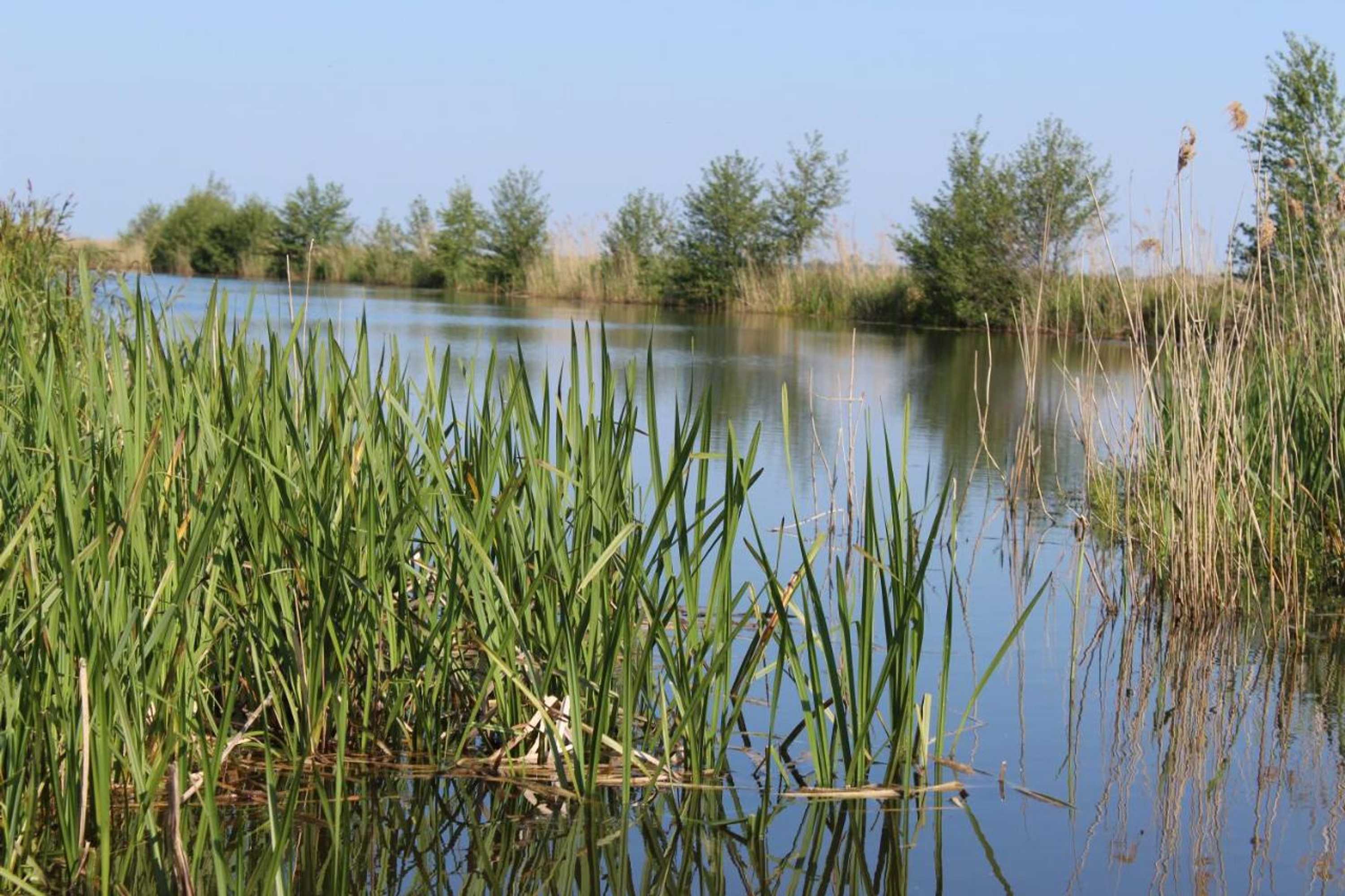 Gift card for Chalet Nr. 9 Resort Venetië