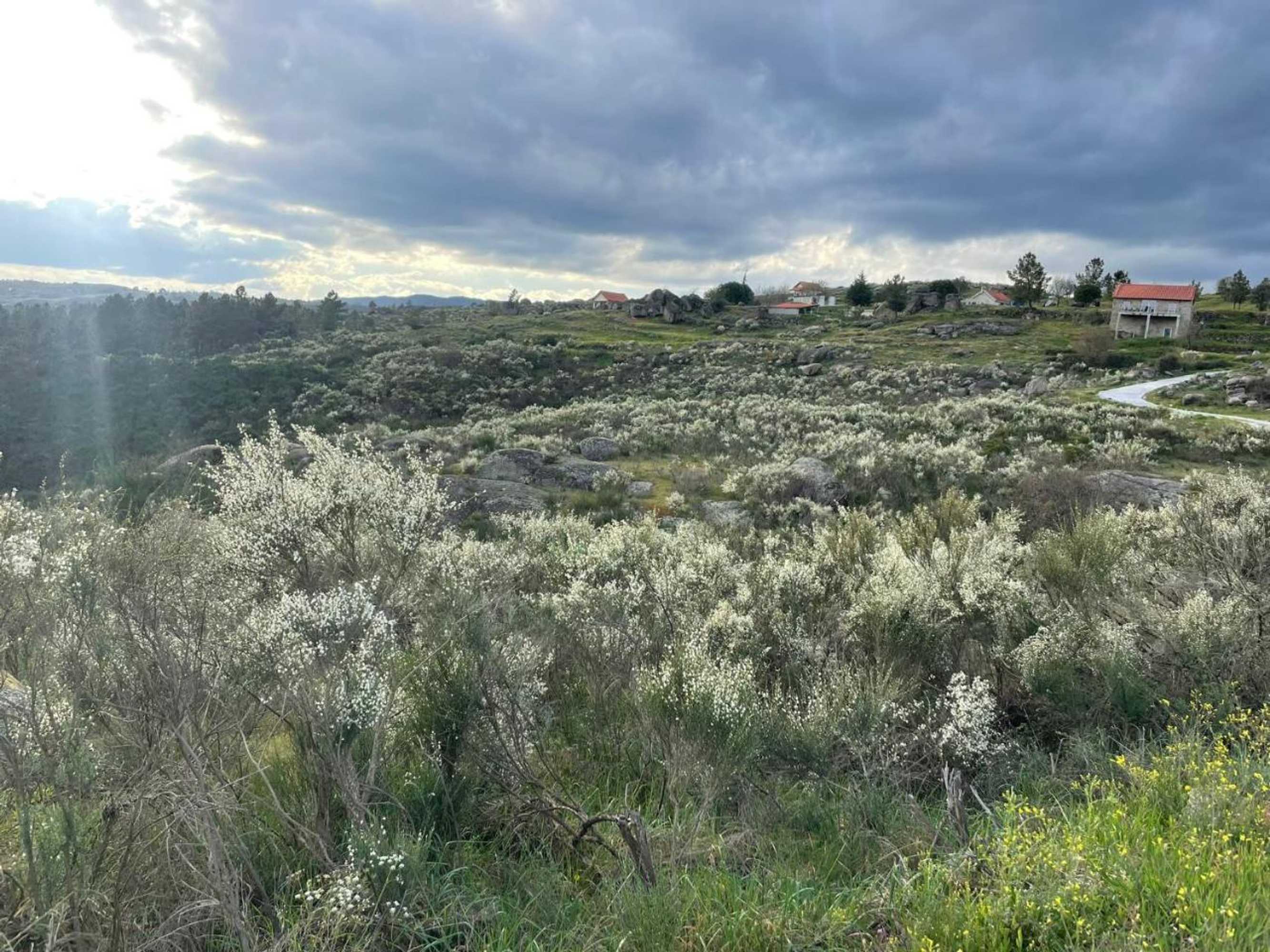 Gift card for Quinta da Estrela