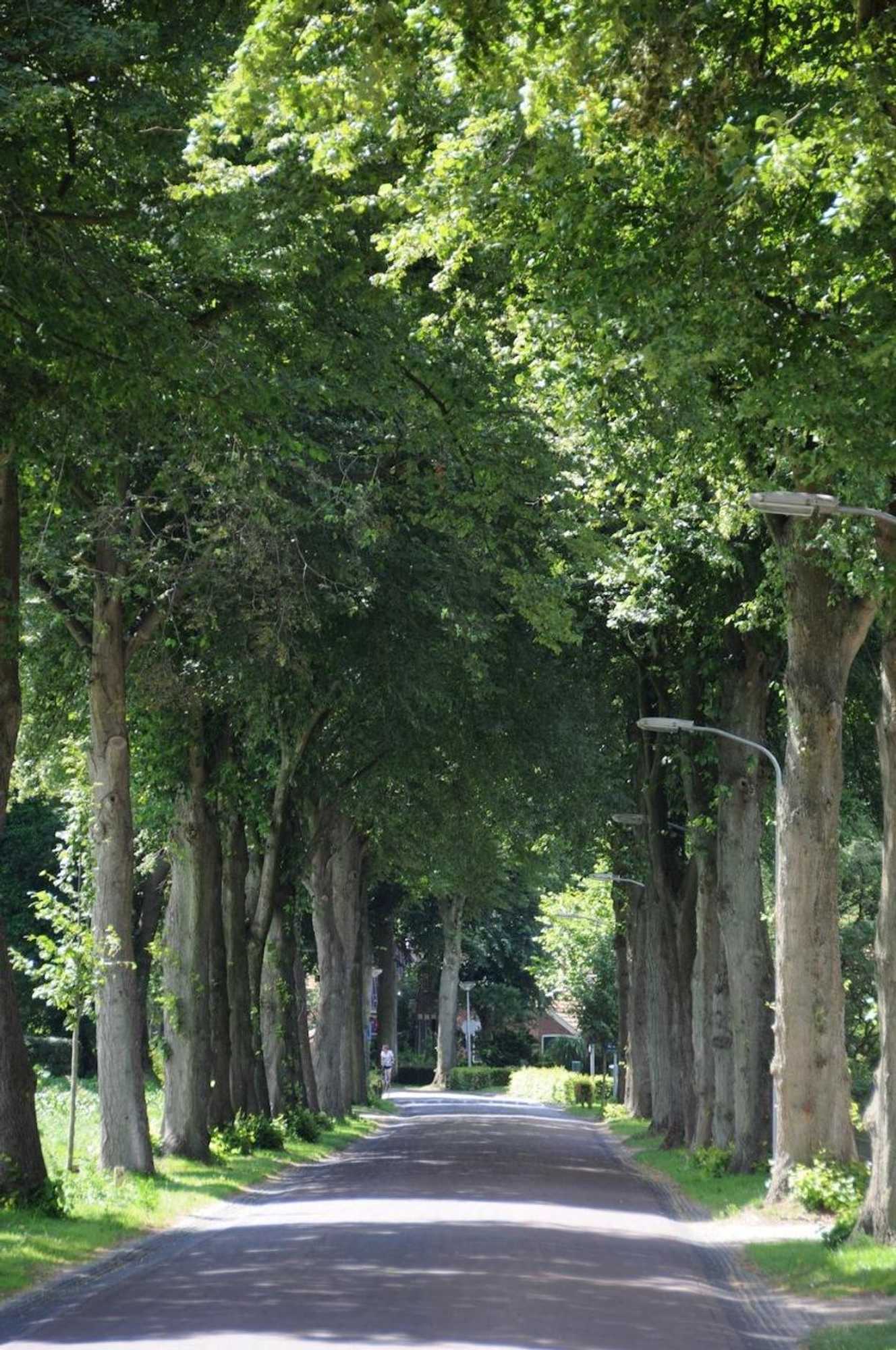 Gift card for Bed And Breakfast De Violier