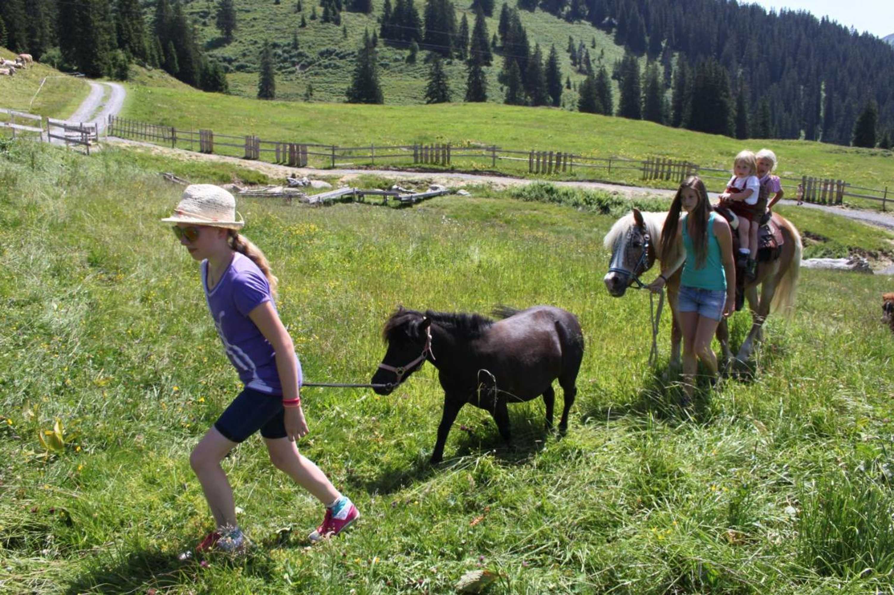 Gift card for Haus Matt