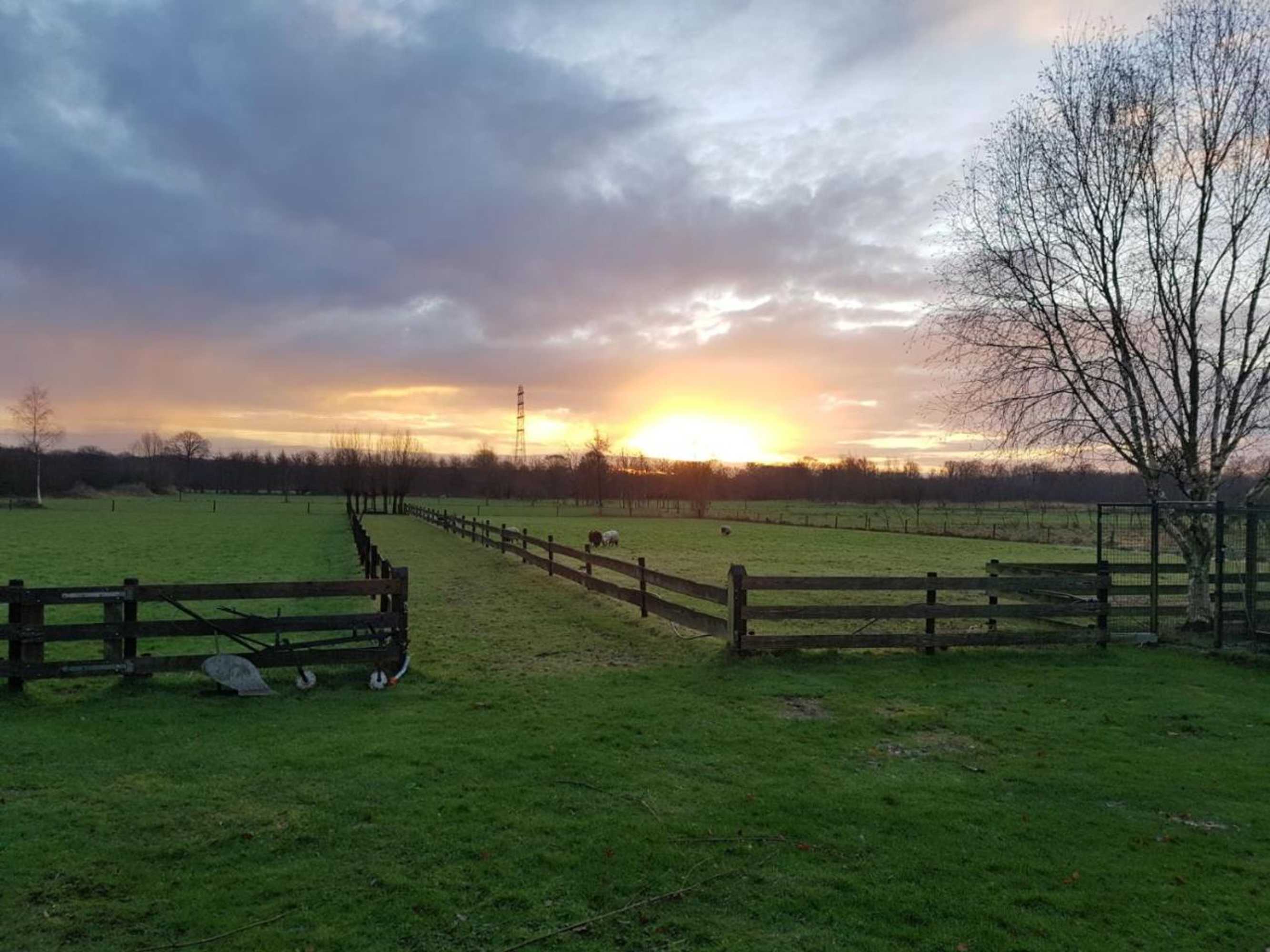 Gift card for Casaprisco