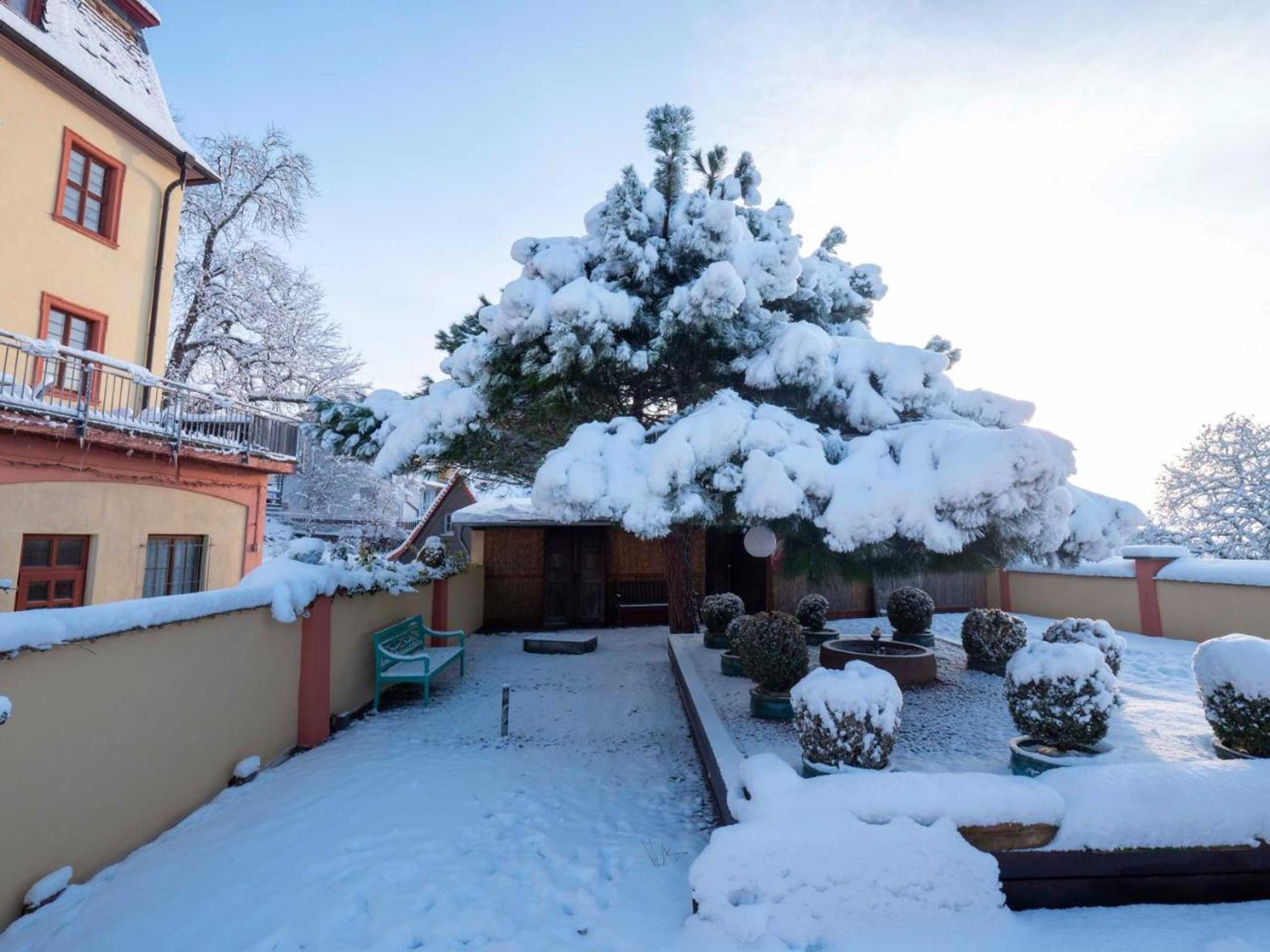 Gift card for Hotel Kollektur