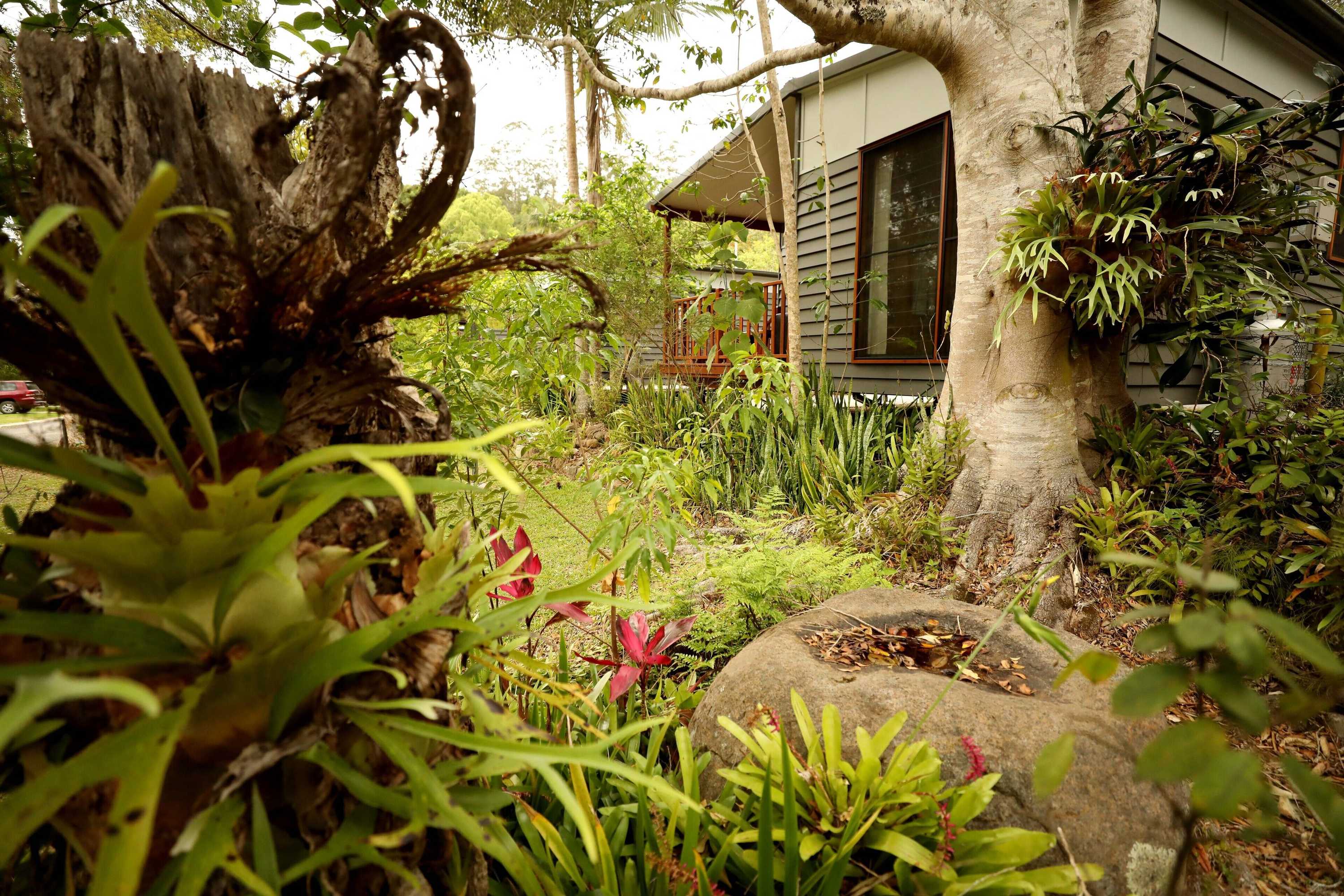 Gift card for Mt Warning Rainforest Park Gift card for Mt Warning Rainforest Park