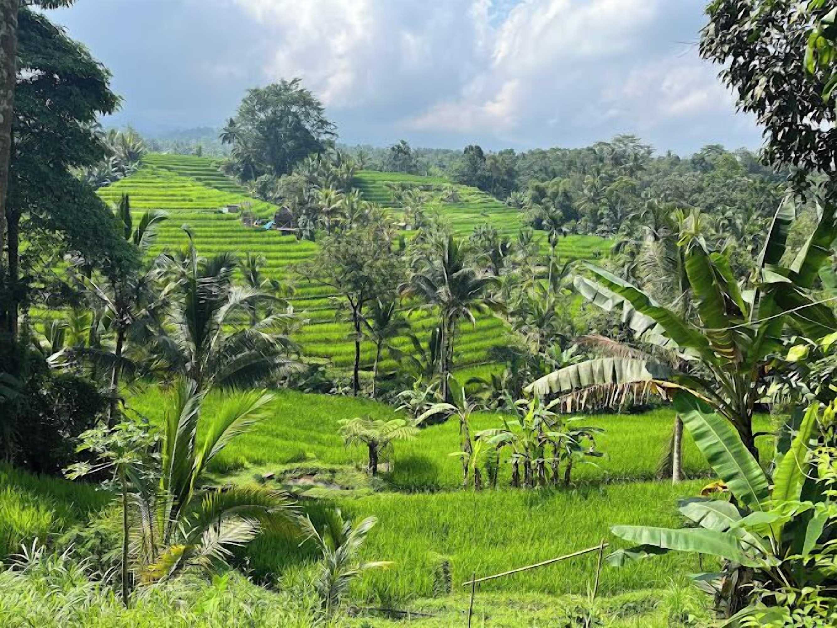 Gift card for Saridevi Ecolodge