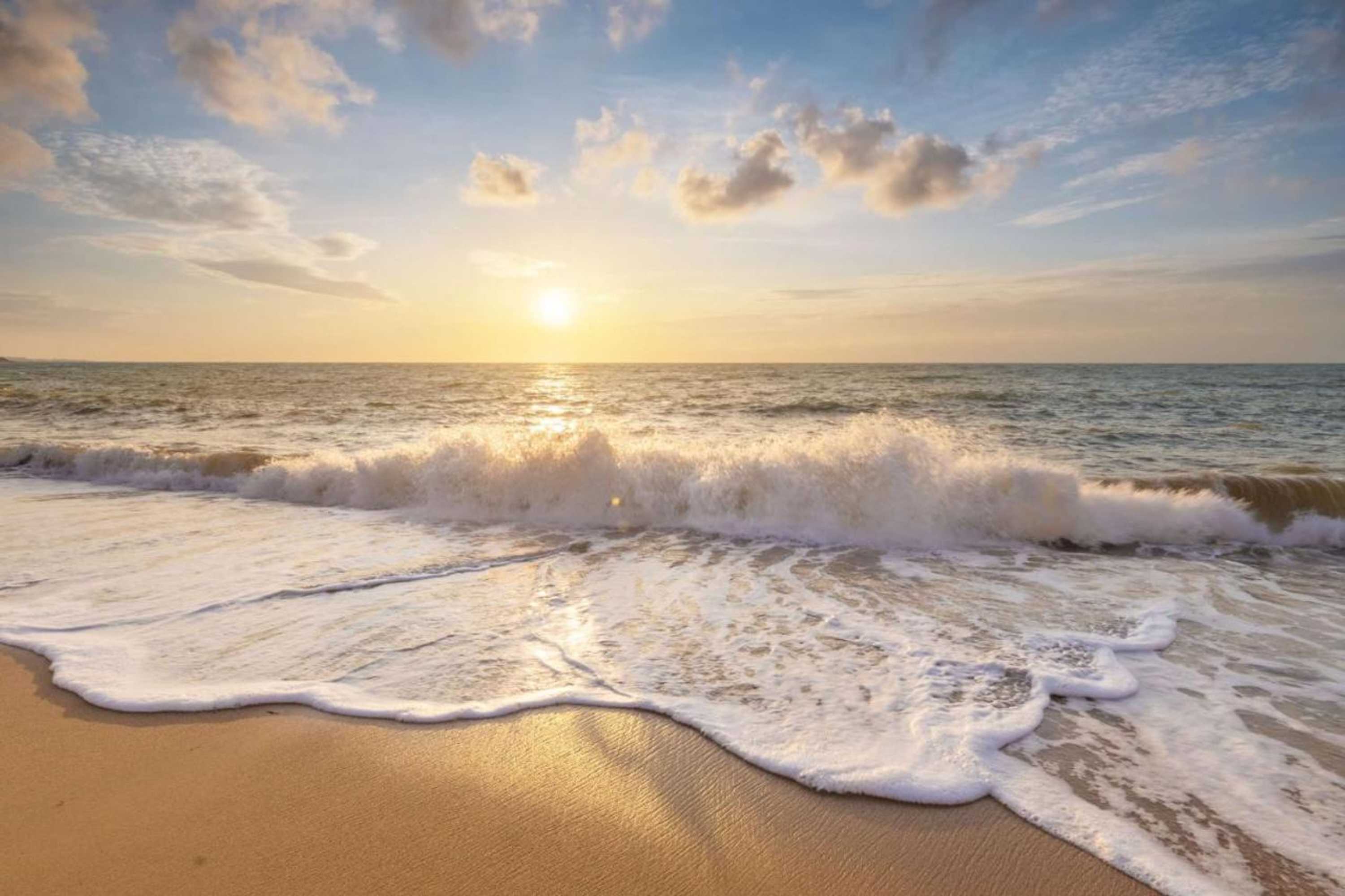 Gift card for Chalet Luttikduin 21, Aan Het Strand Met Ruime Tuin! - Callantsoog Gift card for Chalet Luttikduin 21, Aan Het Strand Met Ruime Tuin! - Callantsoog