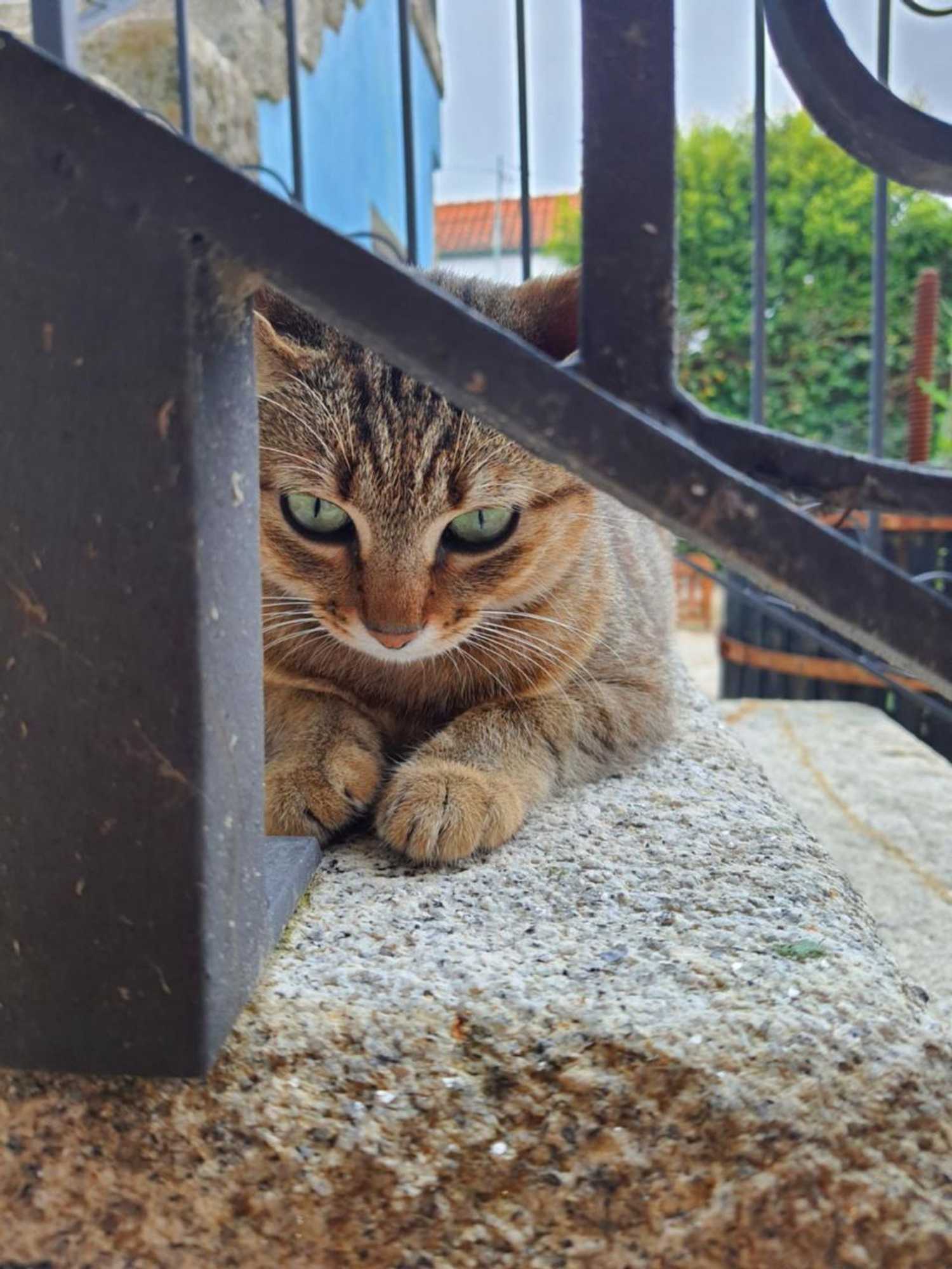 Gift card for Alvorada Medieval, AL