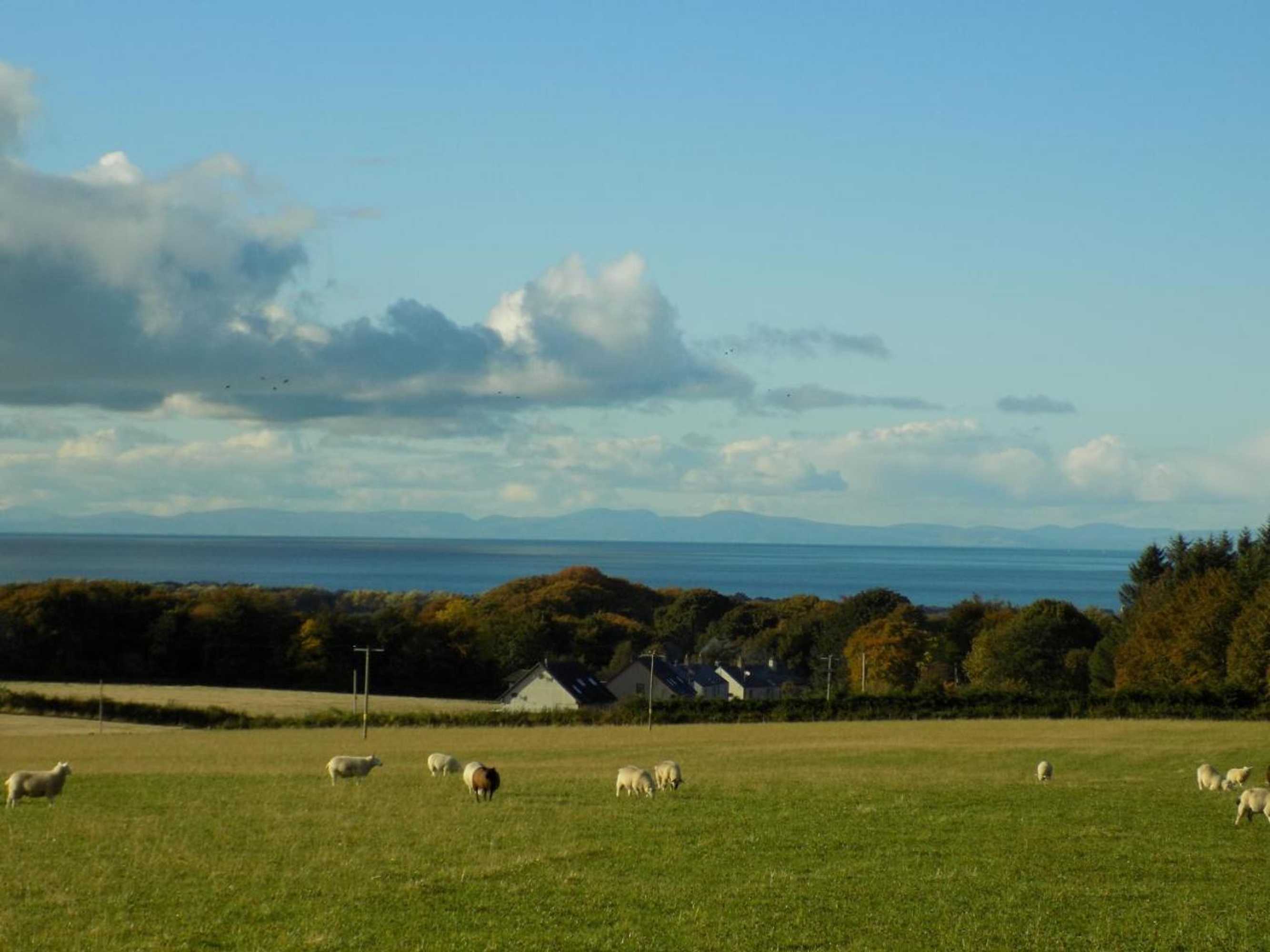 Gift card for Greencraig Pods