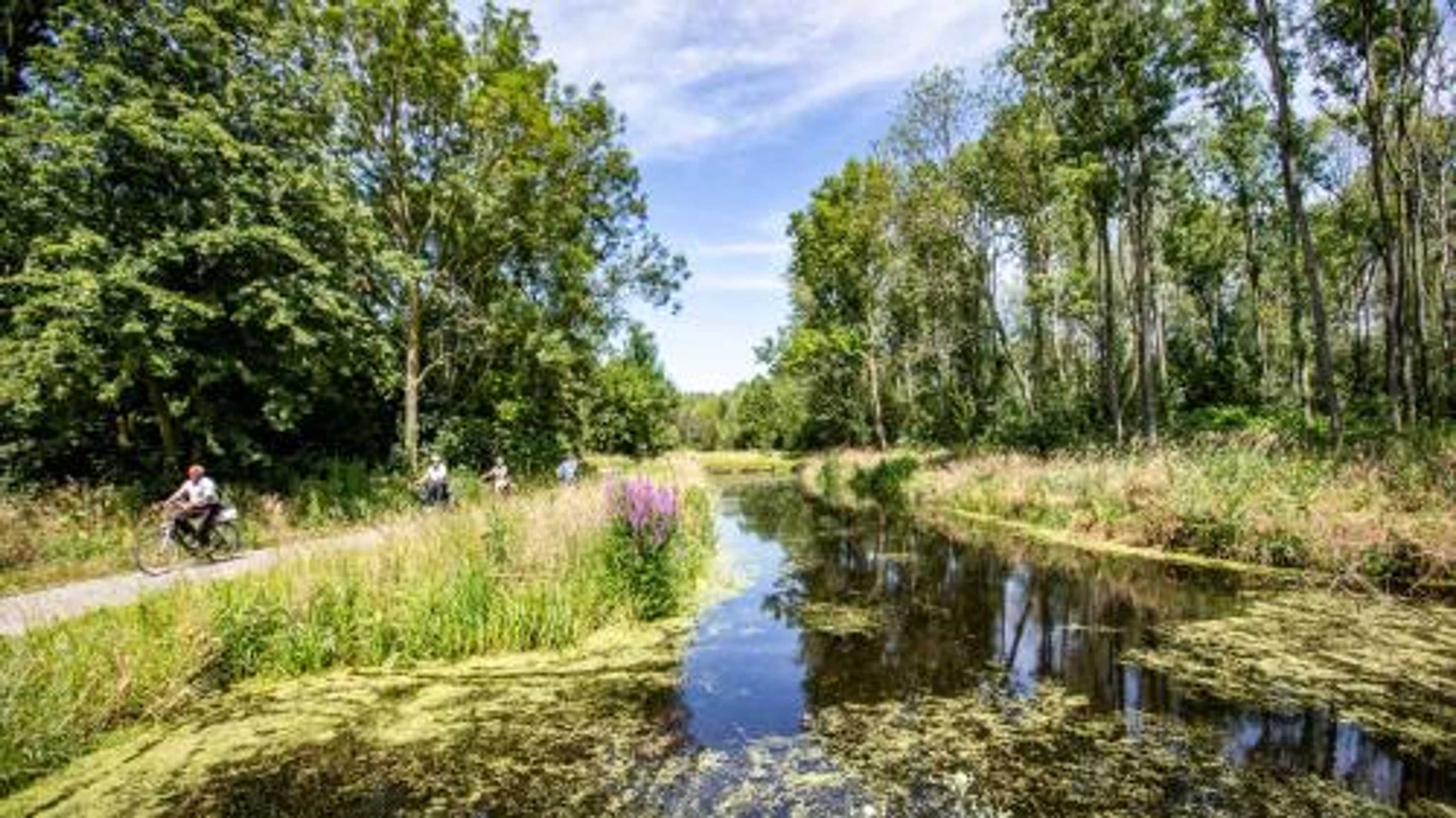 Gift card for Topparken – Parc Ijsselhoeve Gift card for Topparken – Parc Ijsselhoeve