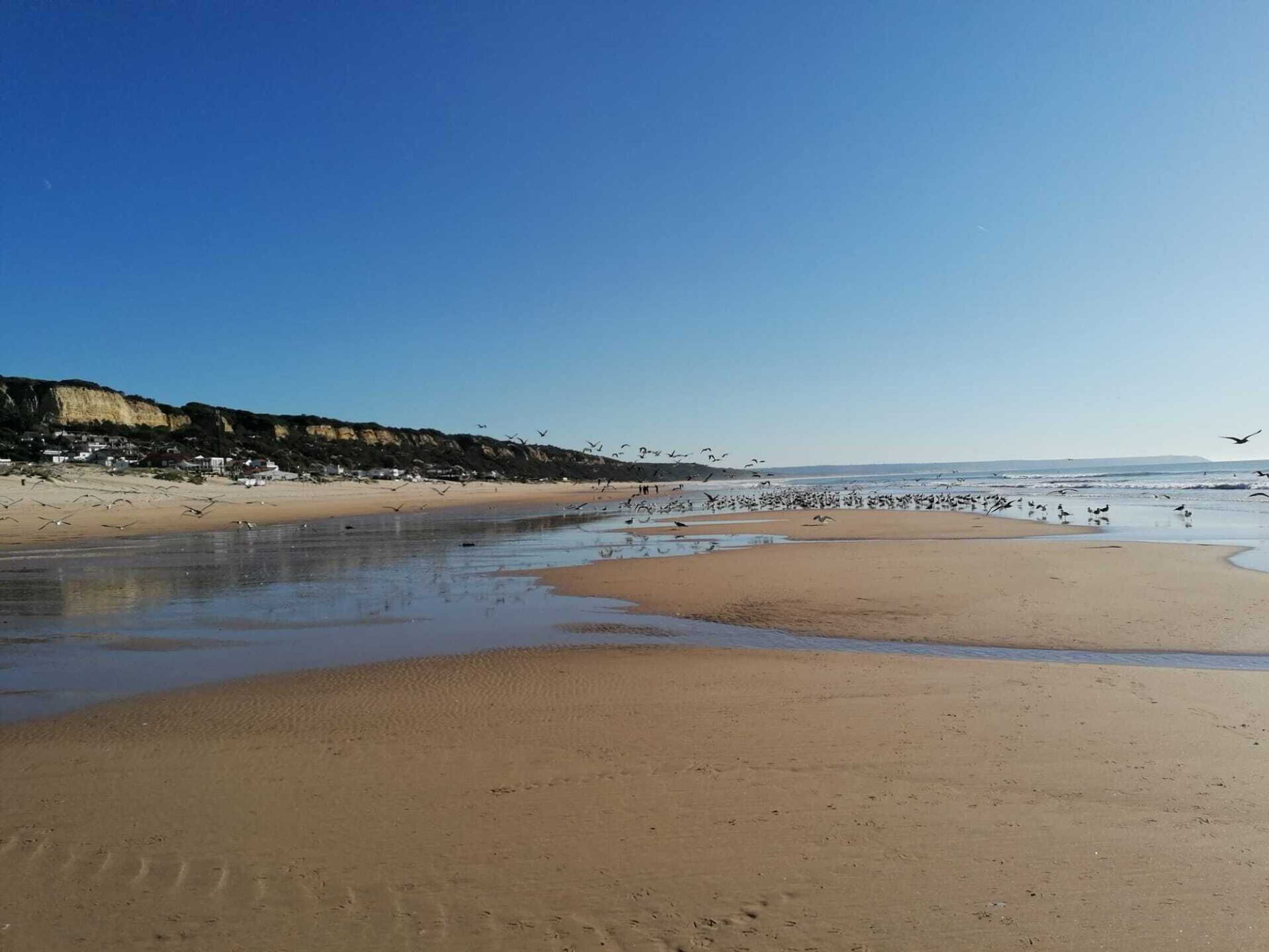 Gift card for Fonte da Telha Beach Hostel