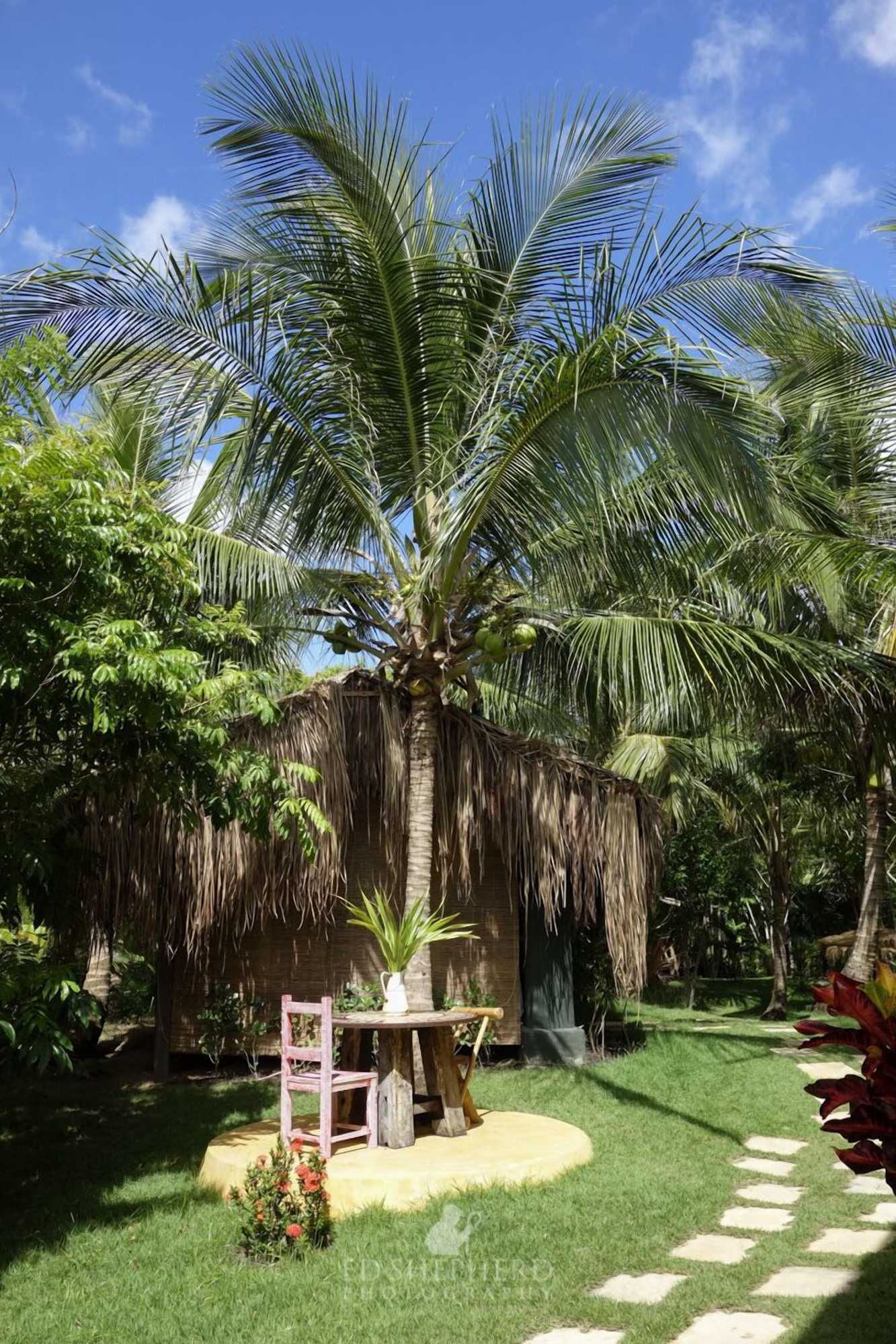 Gift card for Butterfly House Bahia Gift card for Butterfly House Bahia