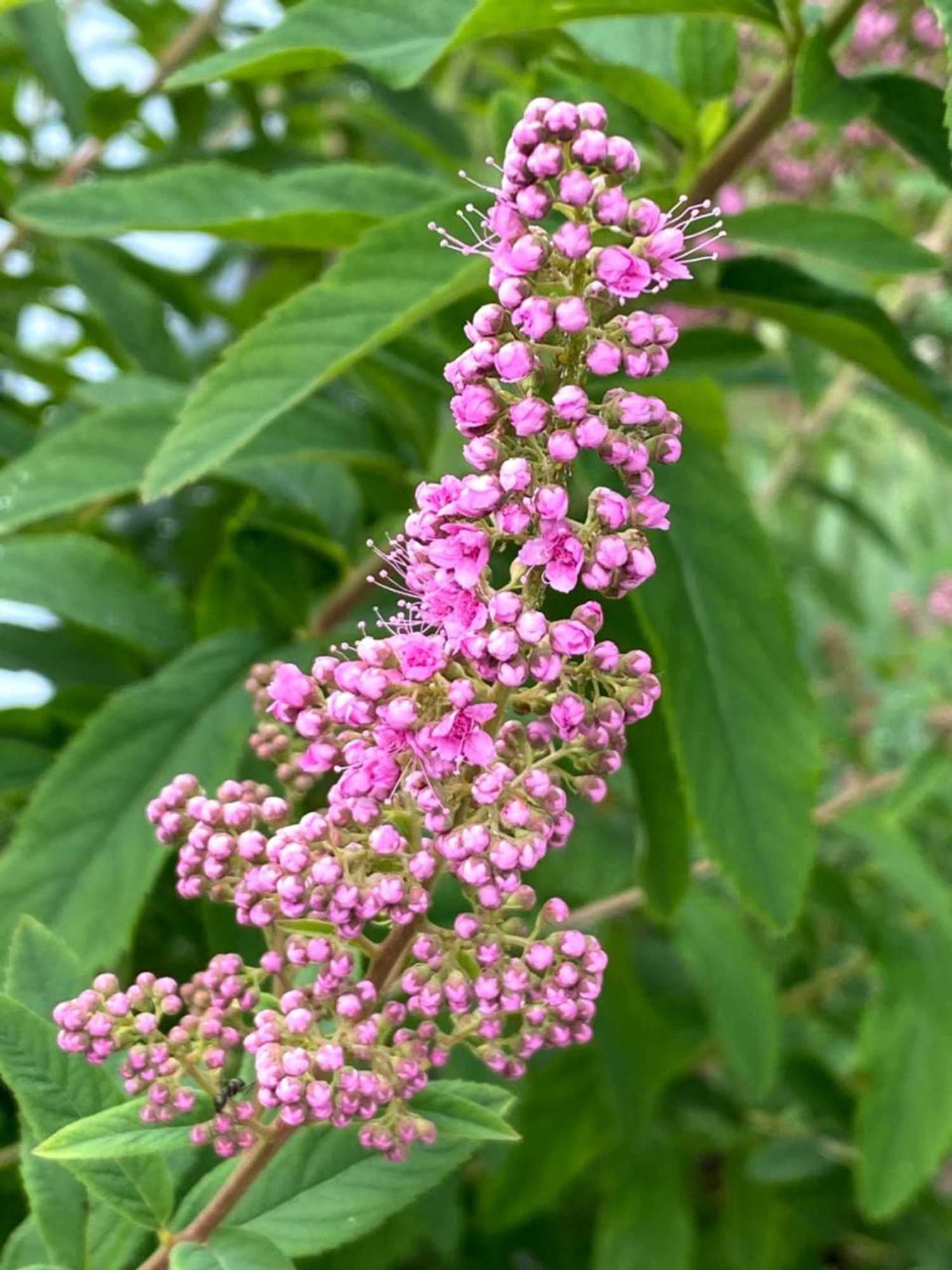 Gift card for B&b Tannen124