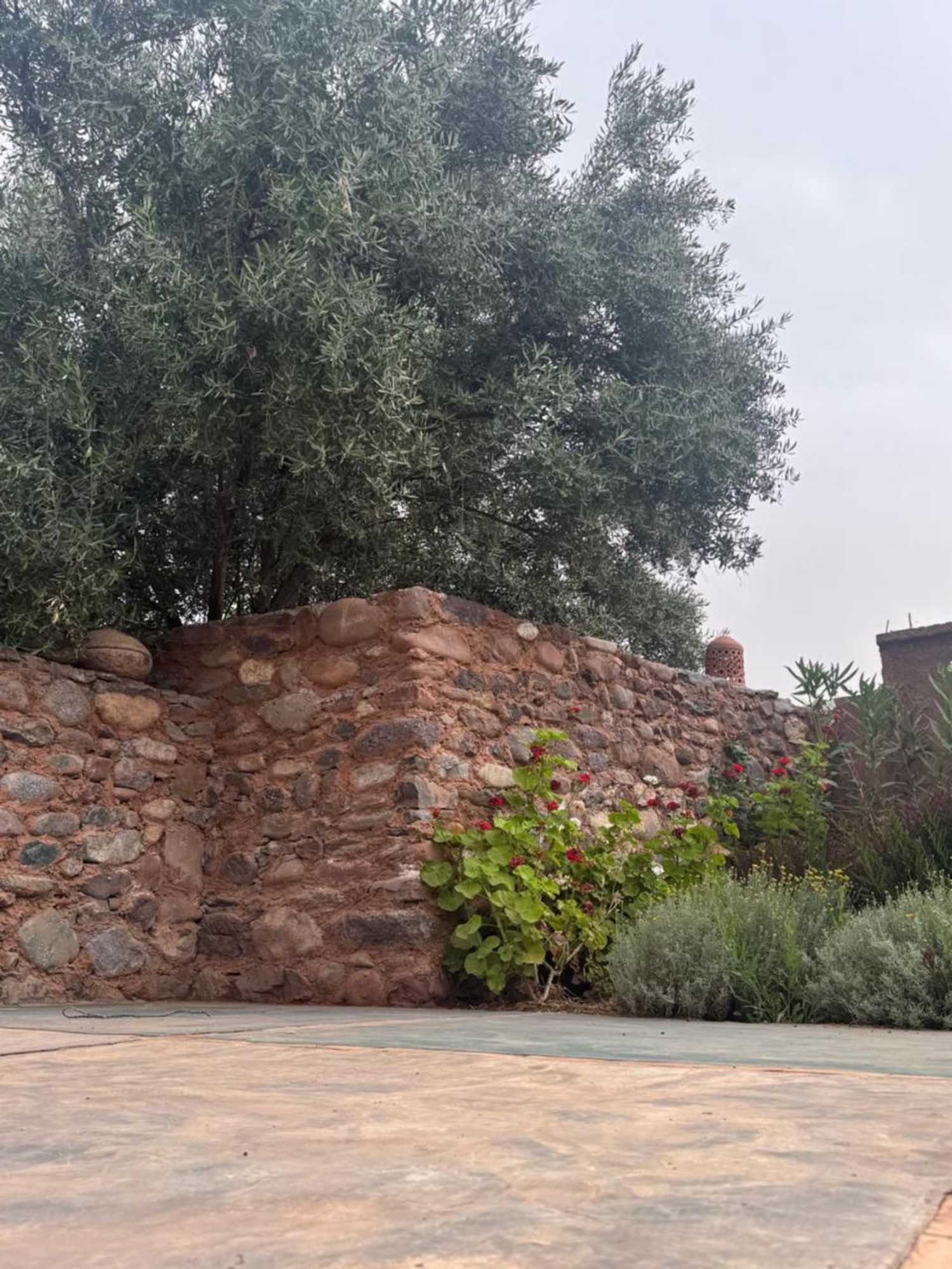 Gift card for Ecolodge Dar Bouhouta