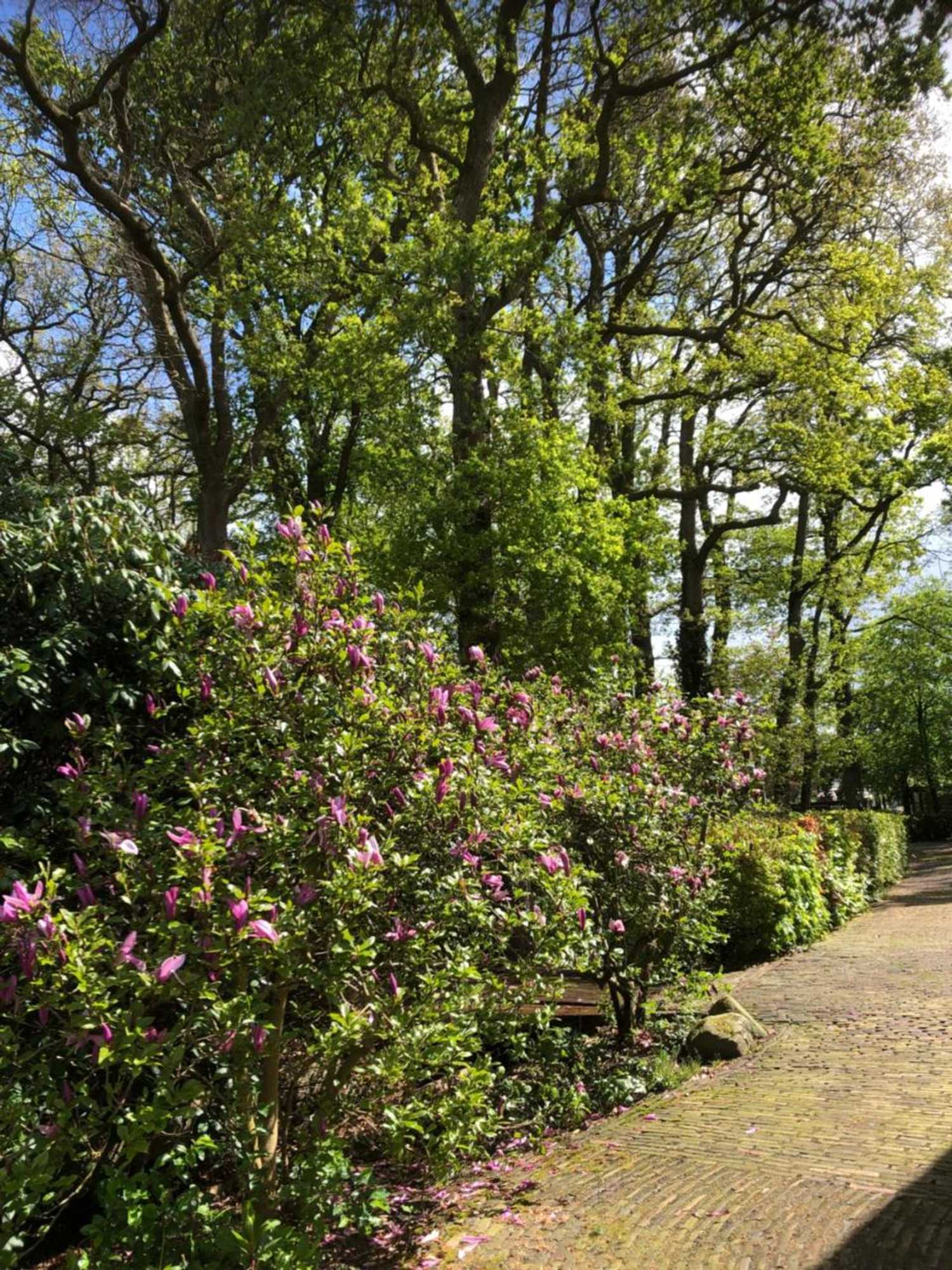 Gift card for B&b Otterstee