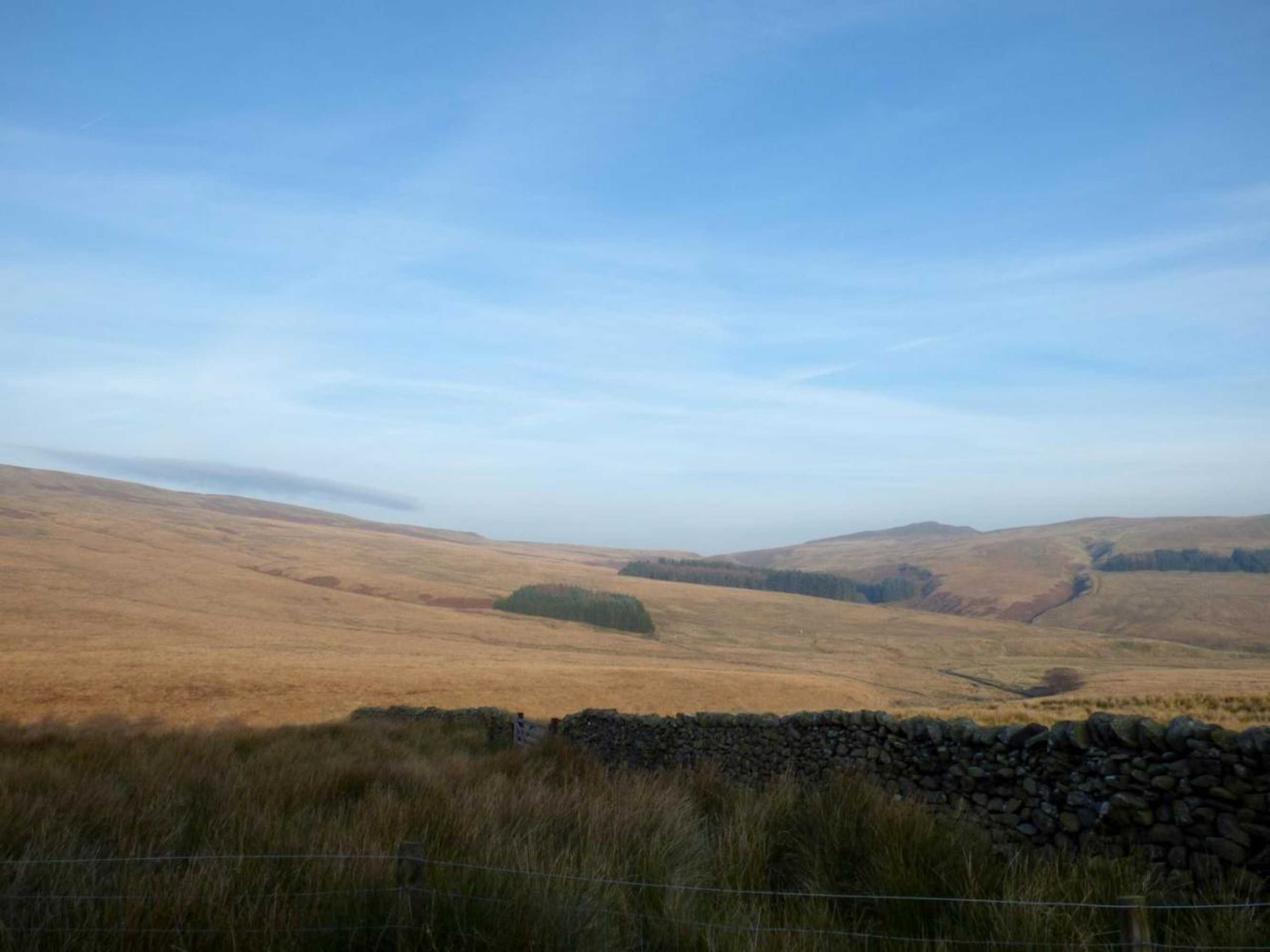 Gift card for Cottam Cottage Farm