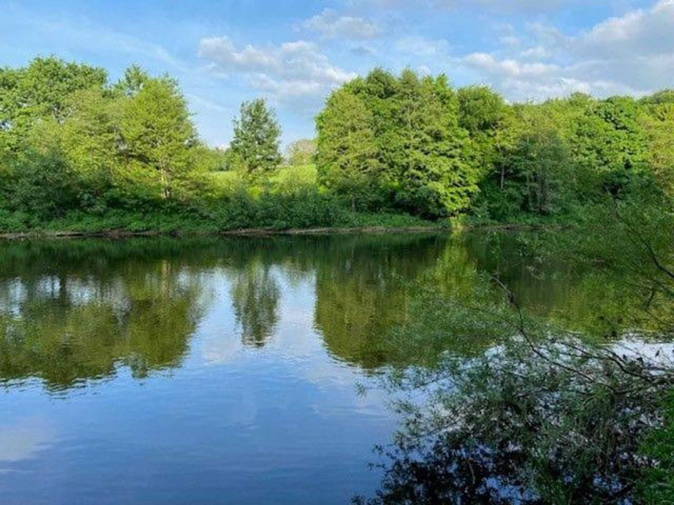 Gift card for Geltsdale Garden Apartment