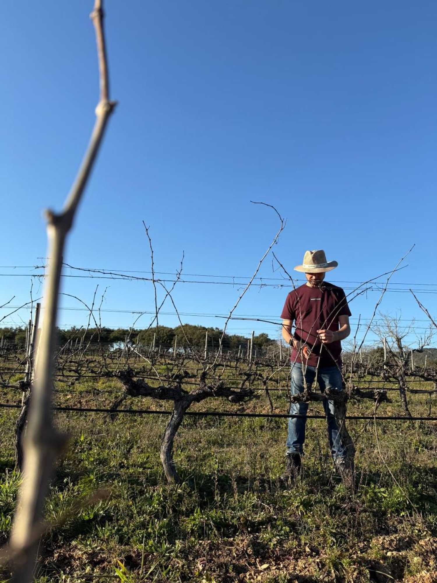 Gift card for Salto Del Caballo