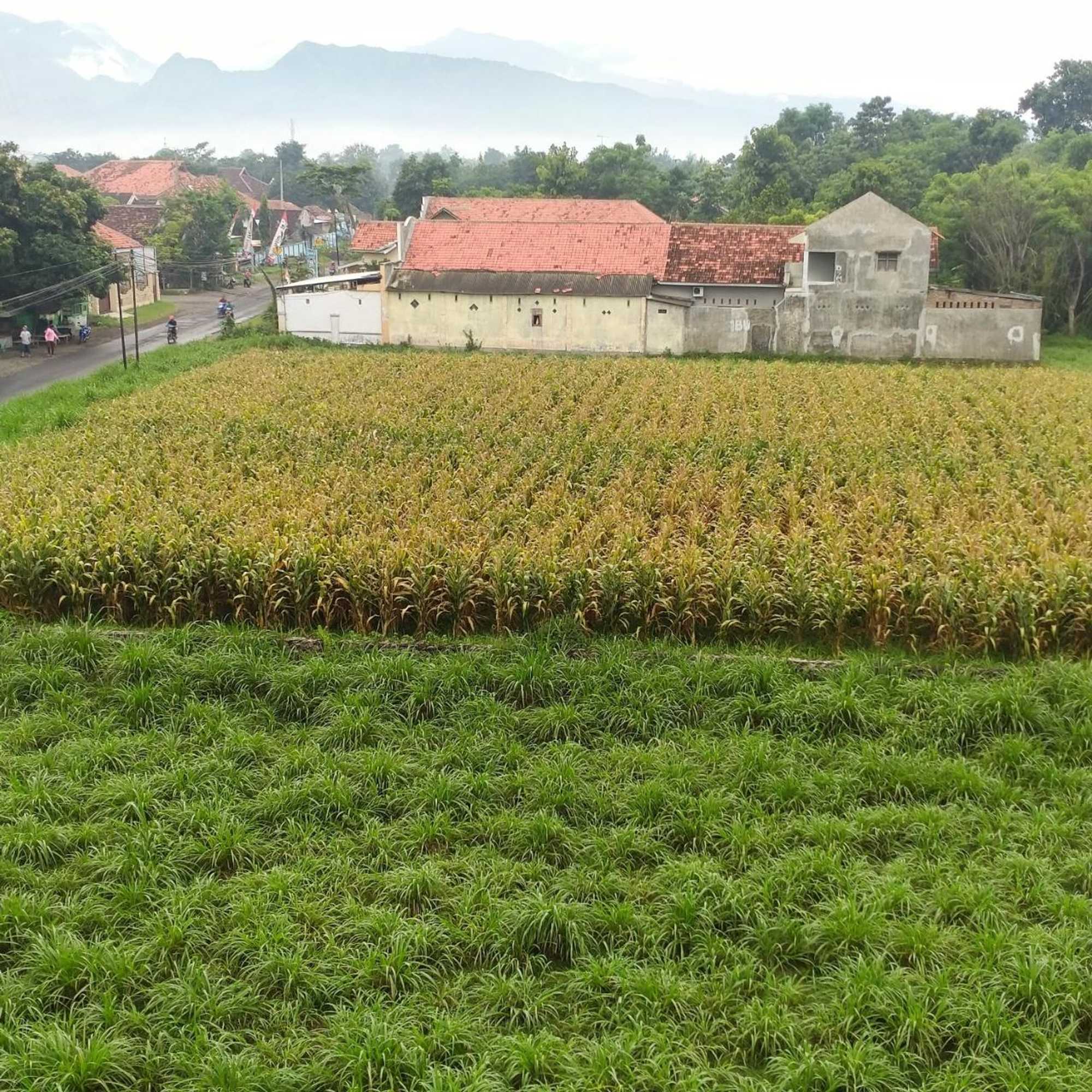 Gift card for Penginapan Banyu Biruku