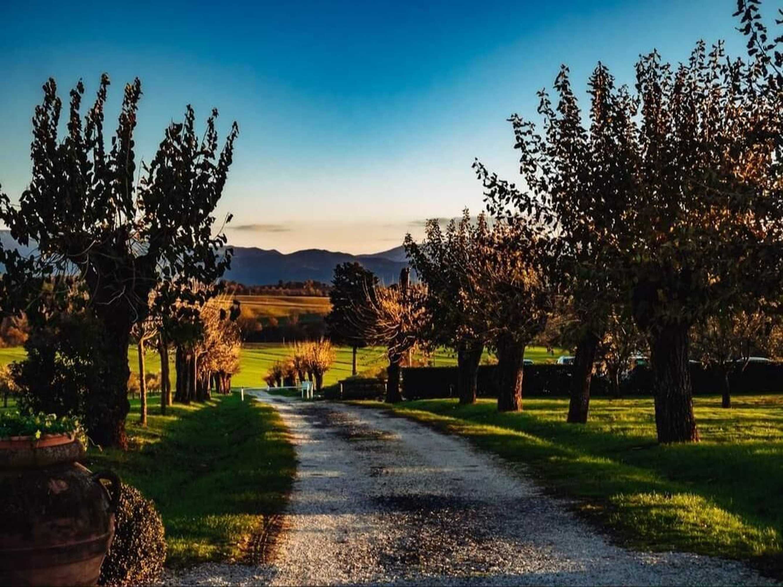 Gift card for Agriturismo La Polledrara Gift card for Agriturismo La Polledrara