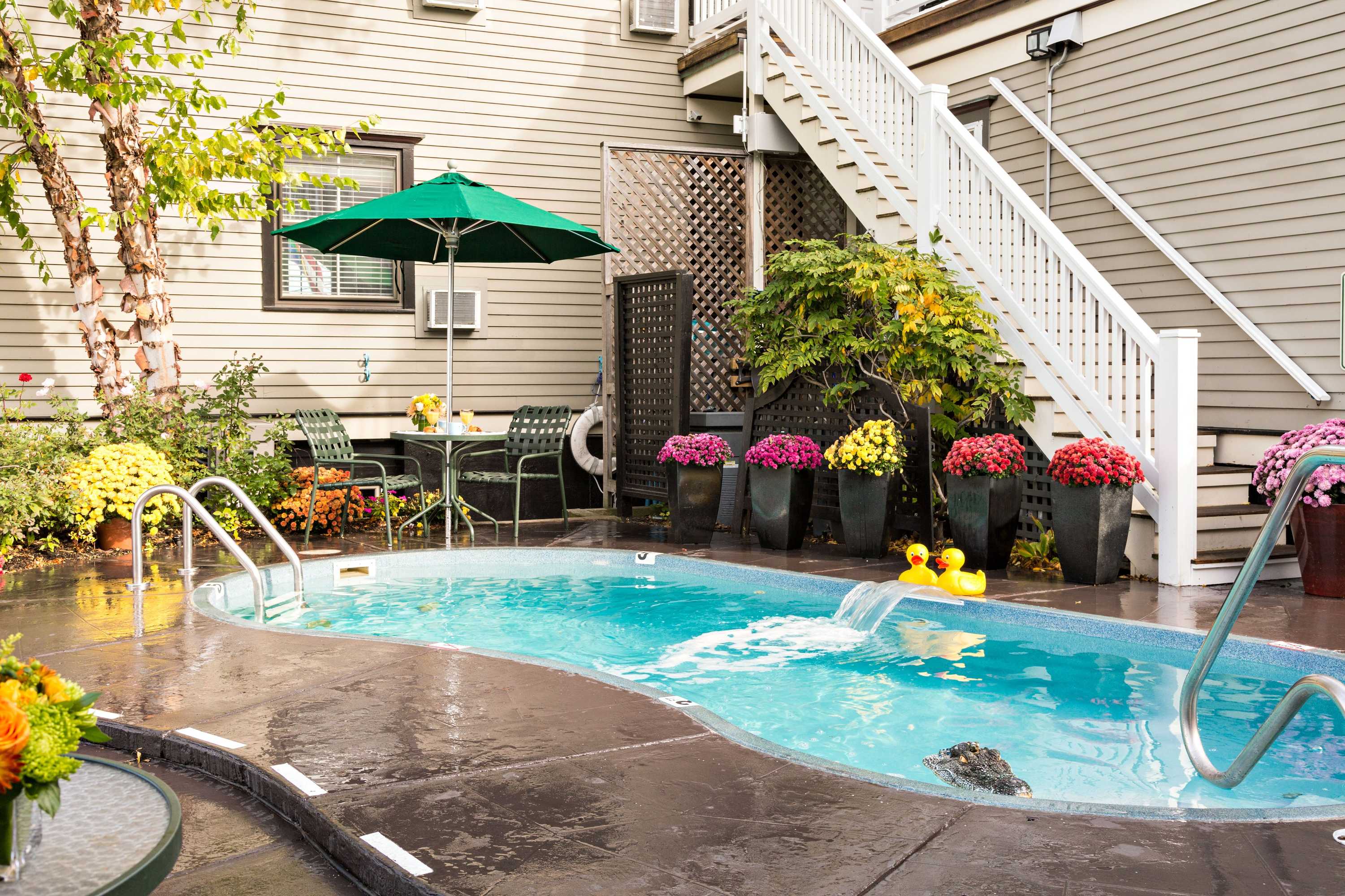 Gift card for Crowne Pointe Historic Inn & Spa - Adults Only Gift card for Crowne Pointe Historic Inn & Spa - Adults Only