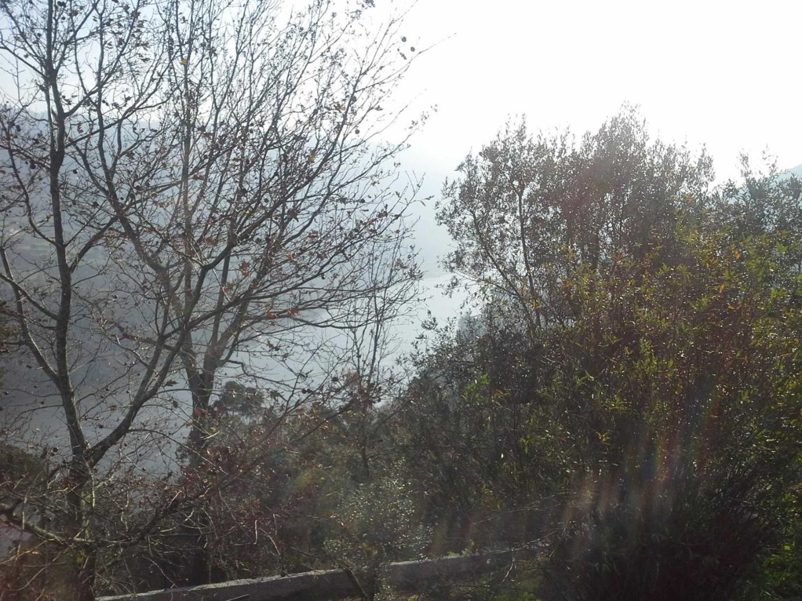 Gift card for Casa do Alto