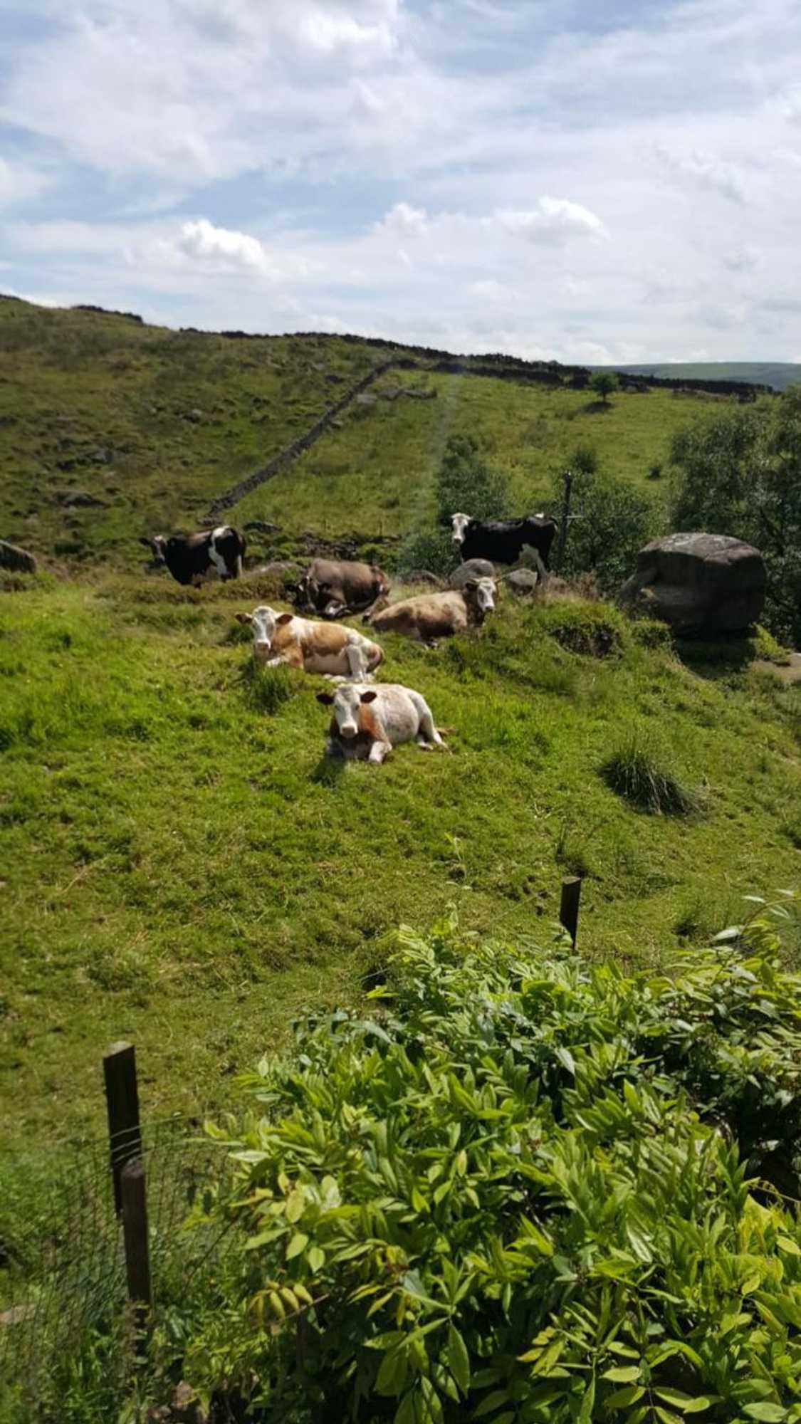 Gift card for The Laburnum Retreat Shepherd Hut Private Hot Tub Gift card for The Laburnum Retreat Shepherd Hut Private Hot Tub