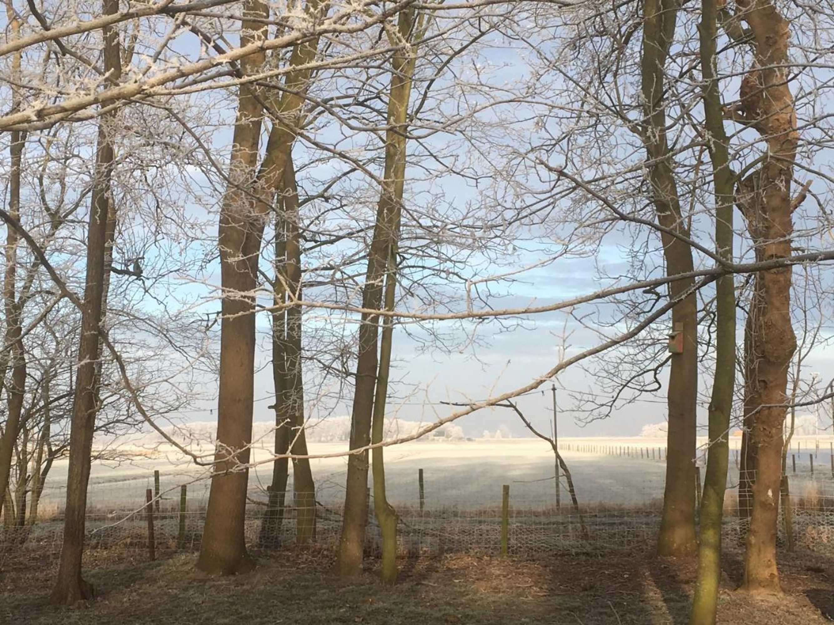 Gift card for Vakantiewoning Vrijburg