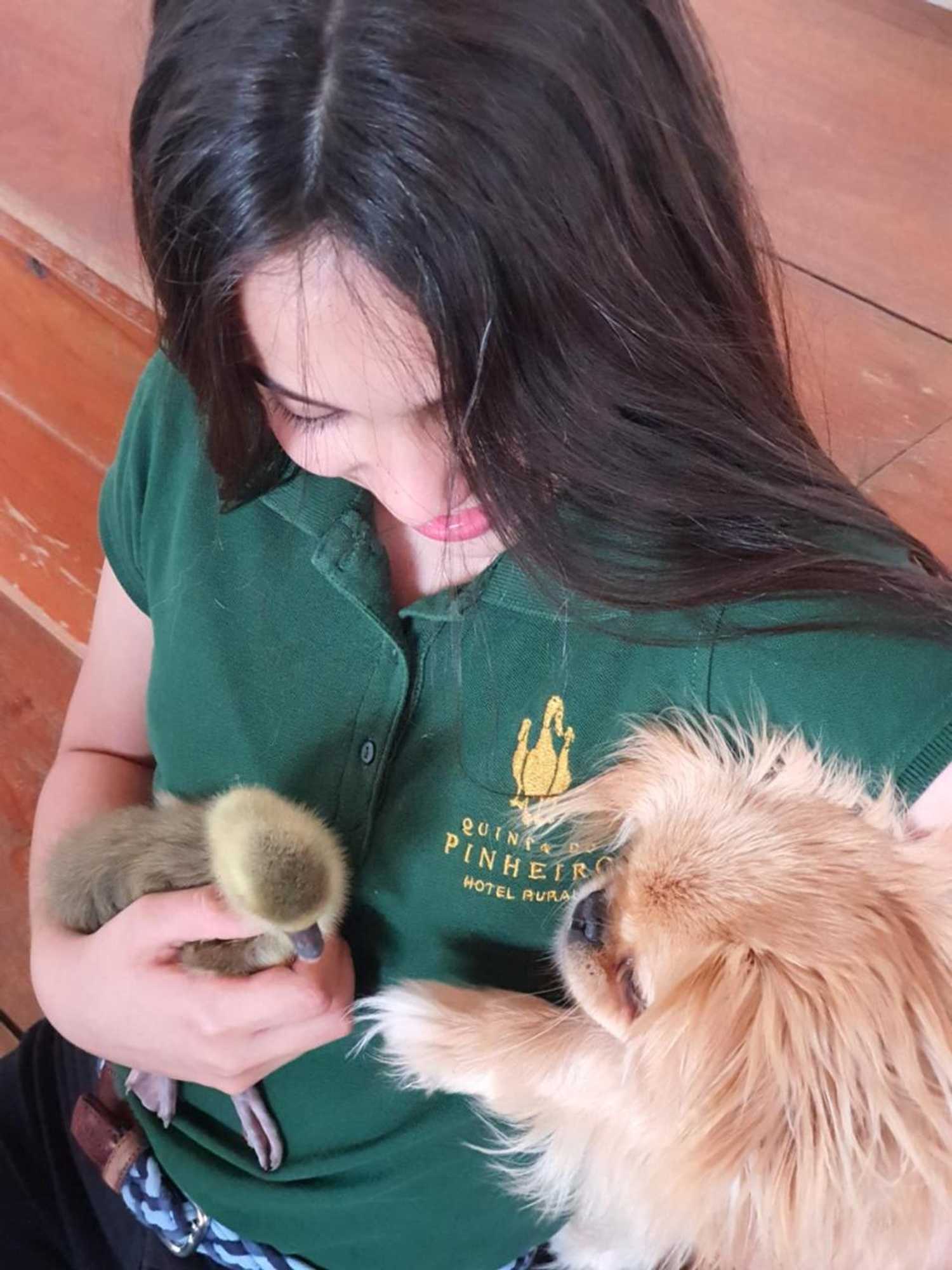 Gift card for Quinta do Pinheiro Hotel E Eventos by Grupo Quinta Dos Lagos