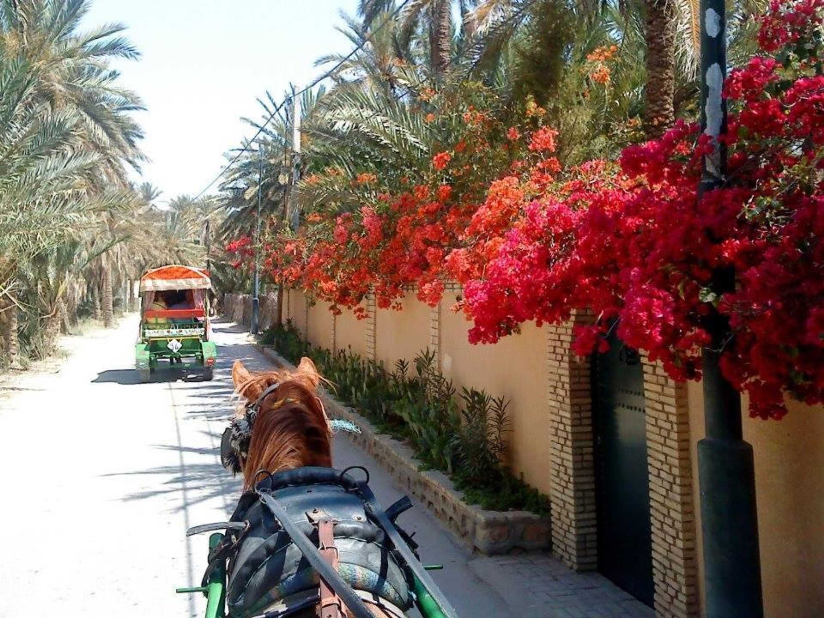 Gift card for Maison D'hôtes Villa Fatima