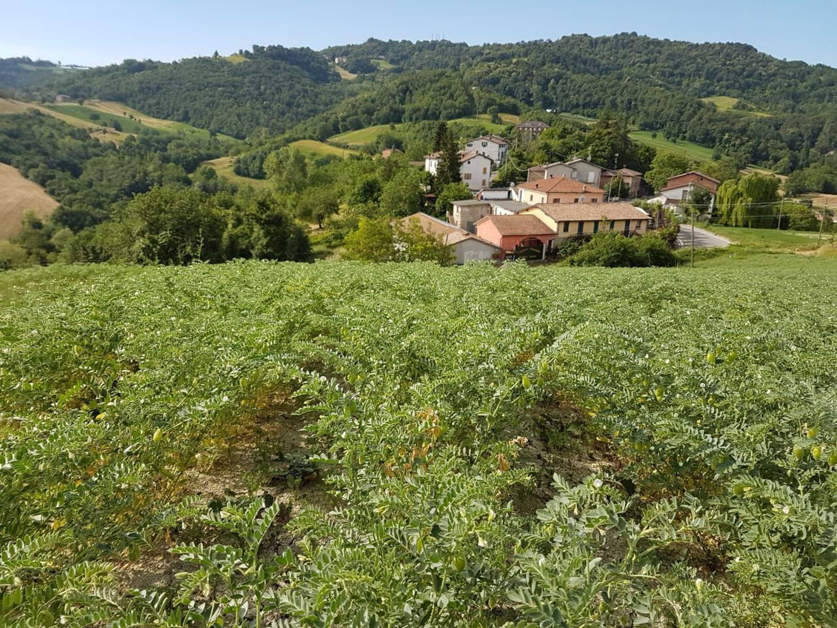 Gift card for Agriturismo di Sordiglio Gift card for Agriturismo di Sordiglio