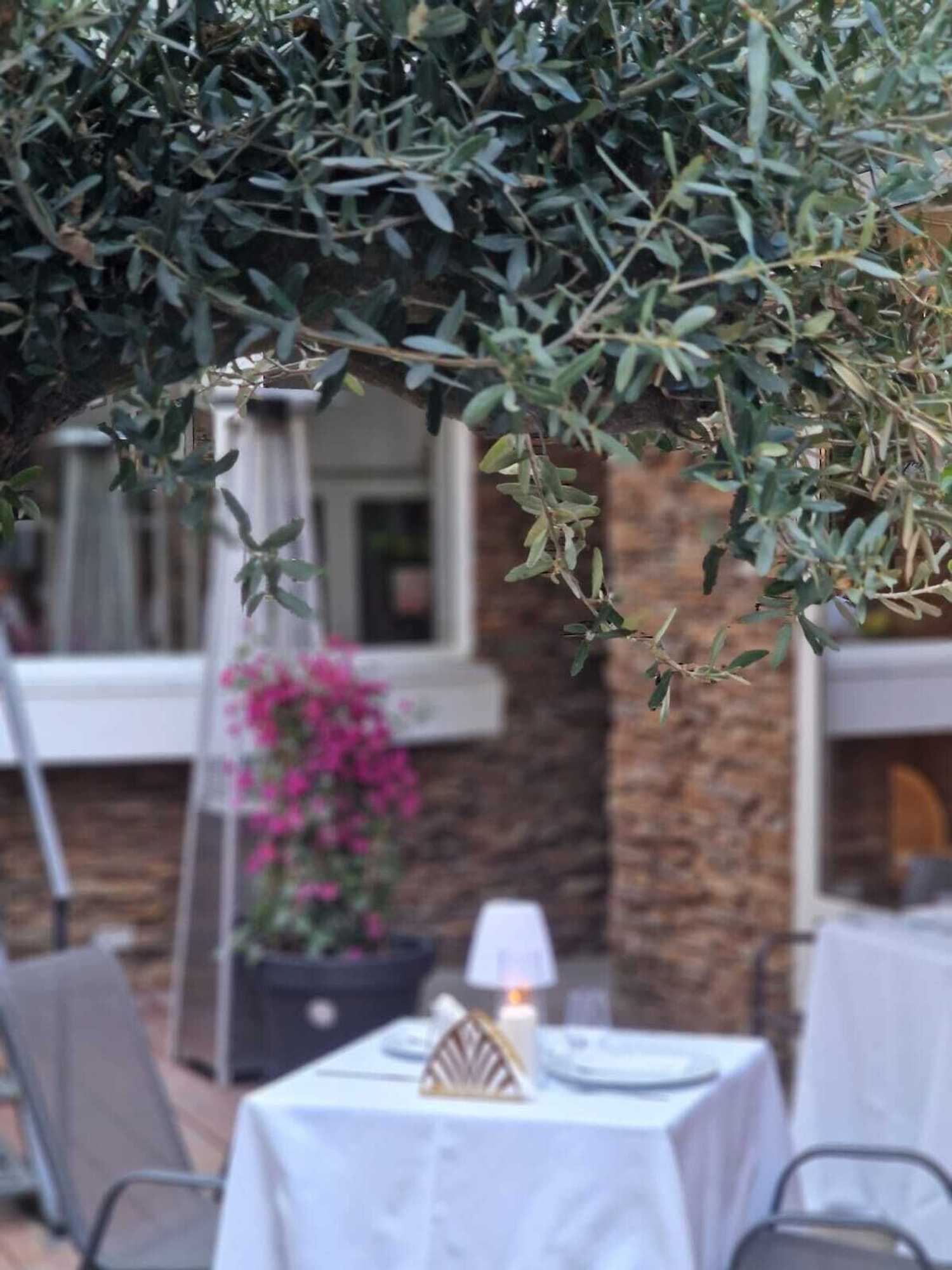 Gift card for Hotel Carpathia Gift card for Hotel Carpathia