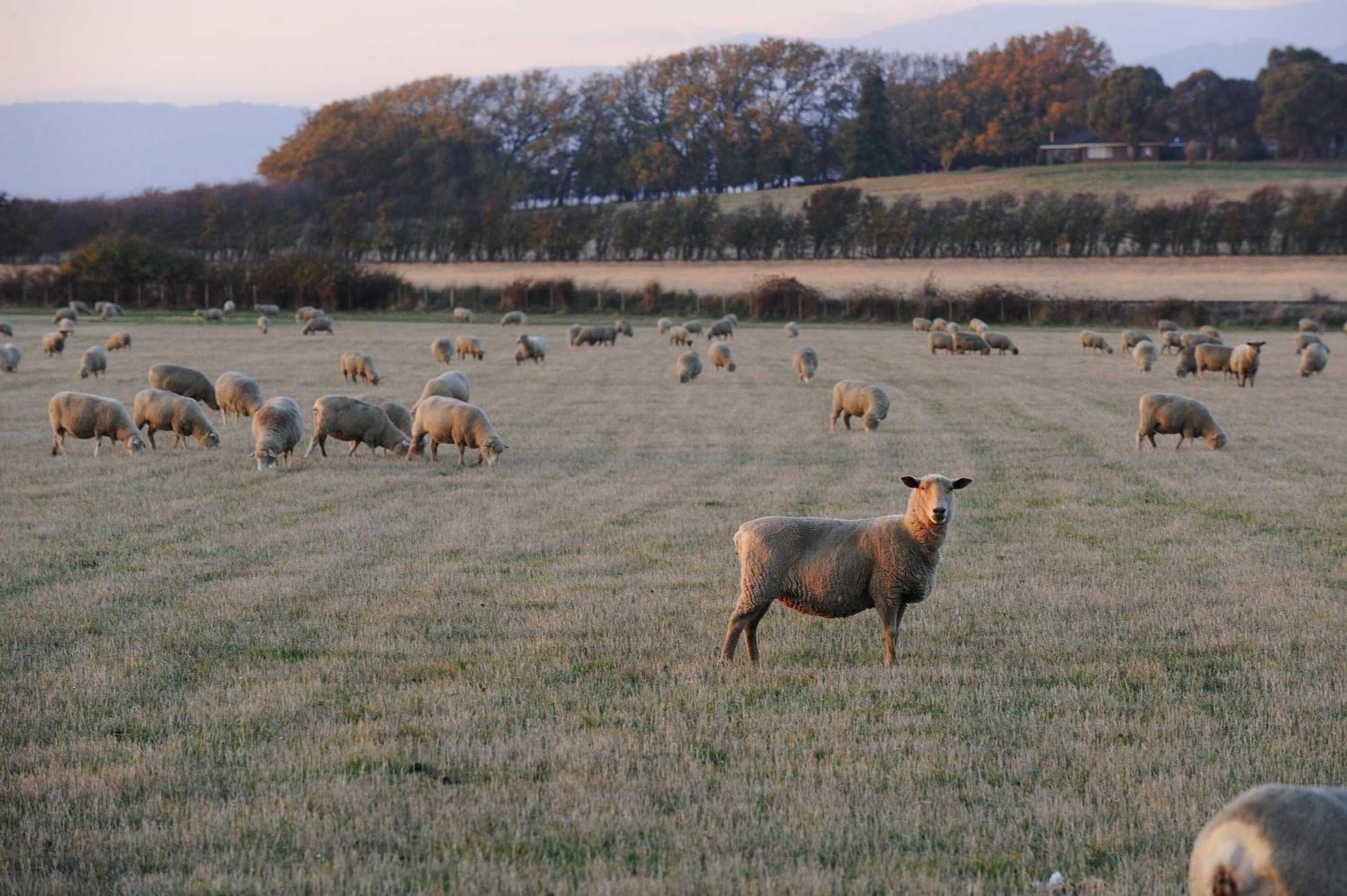 Gift card for Relbia Lodge