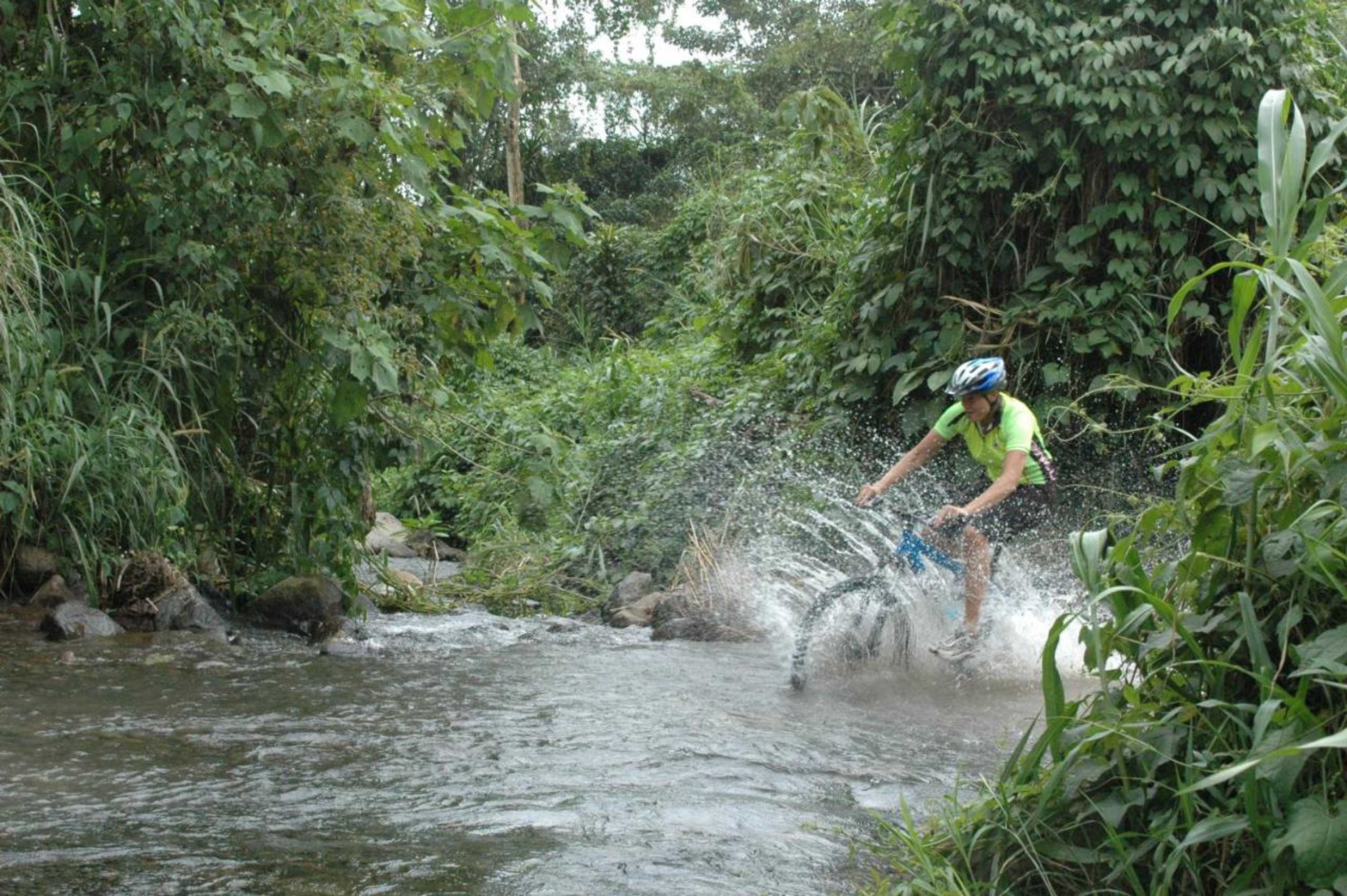 Gift card for Volare