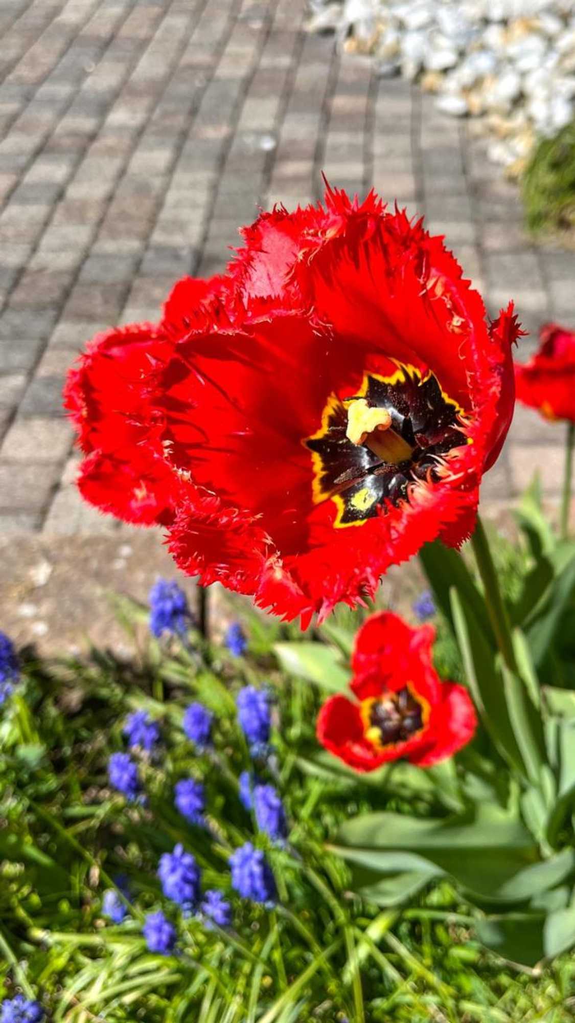 Gift card for Glashotel